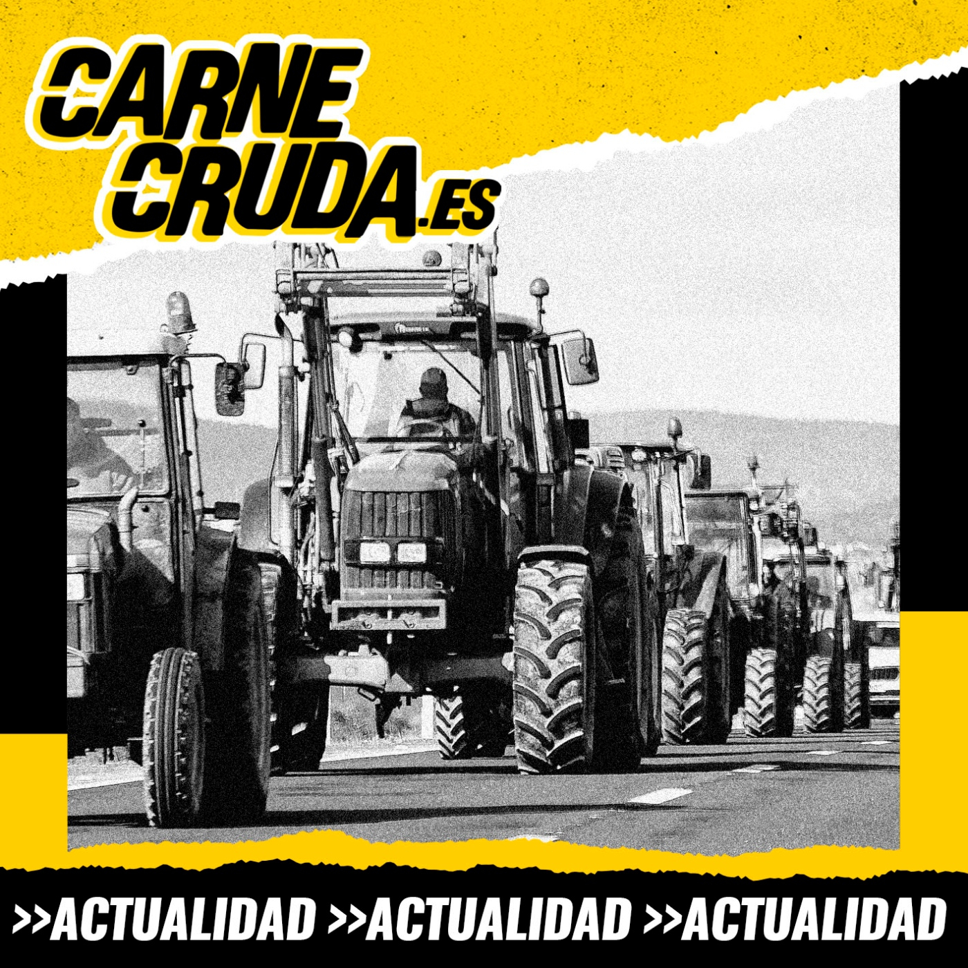 Portada de Carne Cruda - PROGRAMAS
