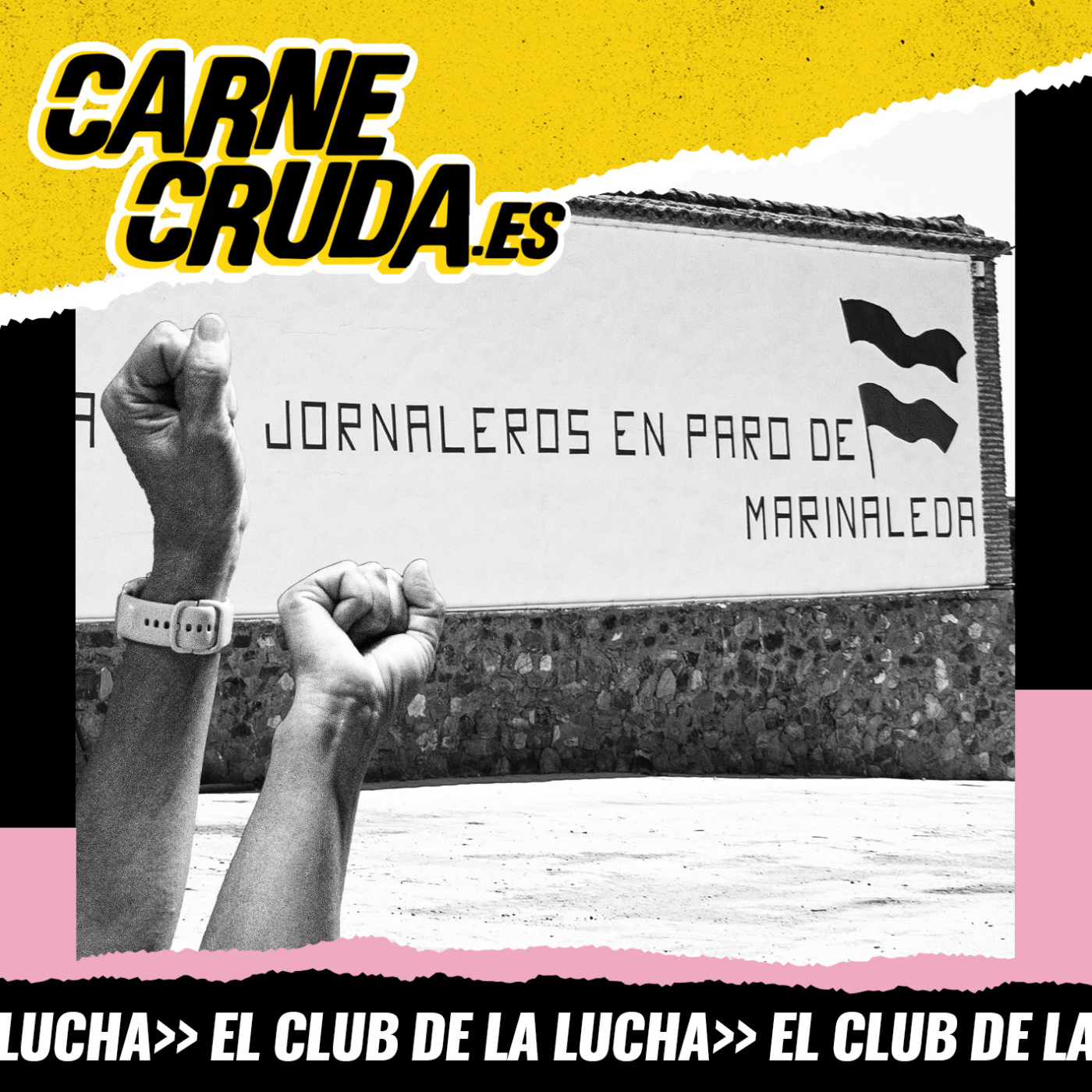 Portada de Carne Cruda - PROGRAMAS