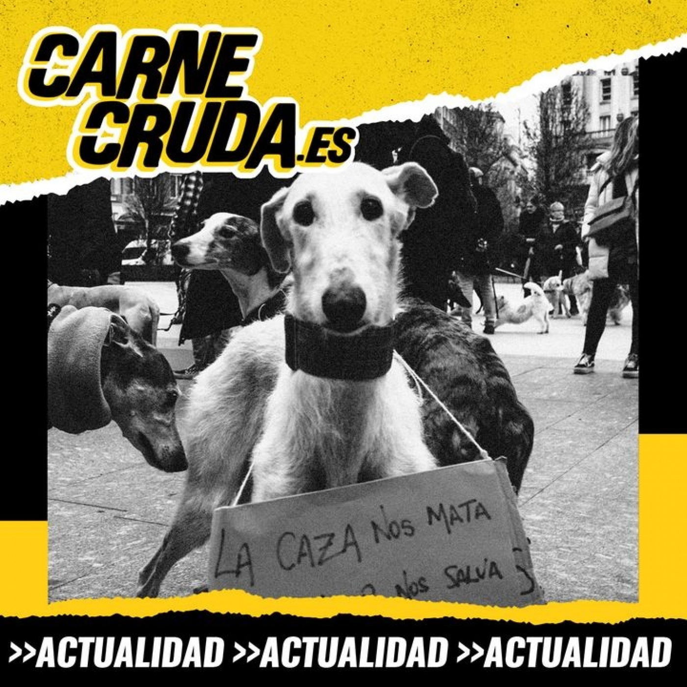 Portada de Carne Cruda - PROGRAMAS