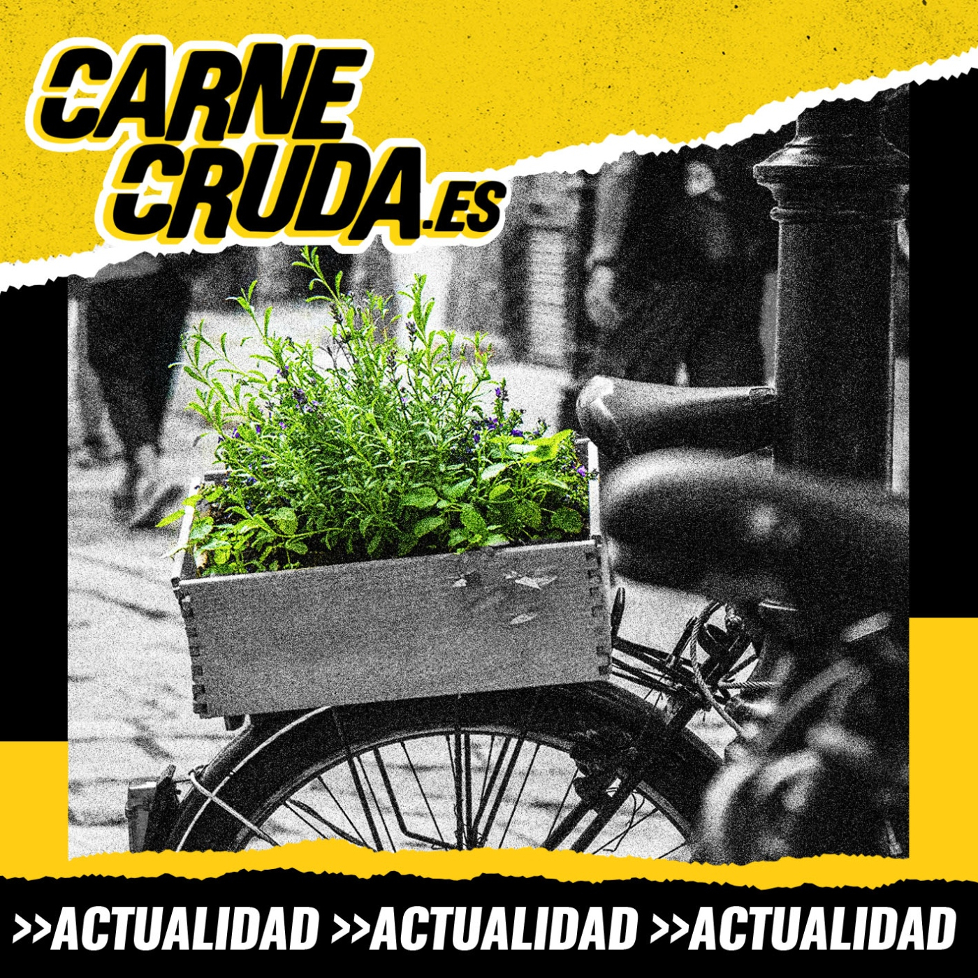 Portada de Carne Cruda - PROGRAMAS