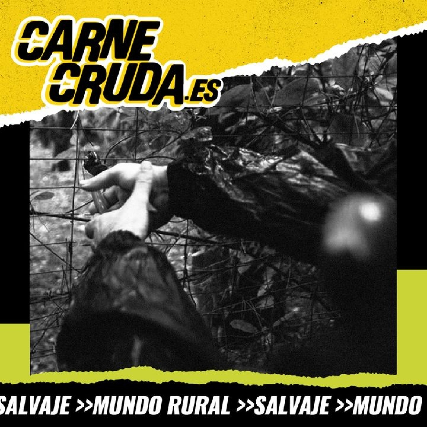 Portada de Carne Cruda - PROGRAMAS