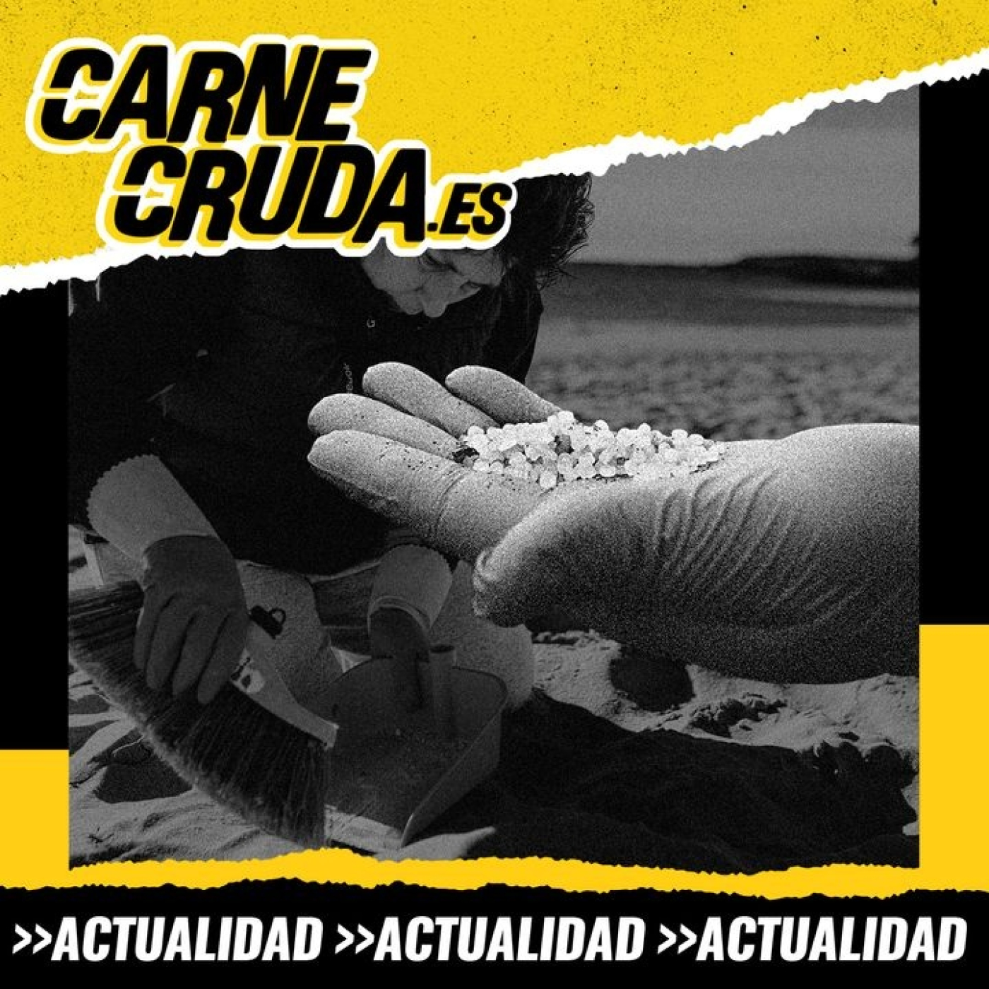 Portada de Carne Cruda - PROGRAMAS