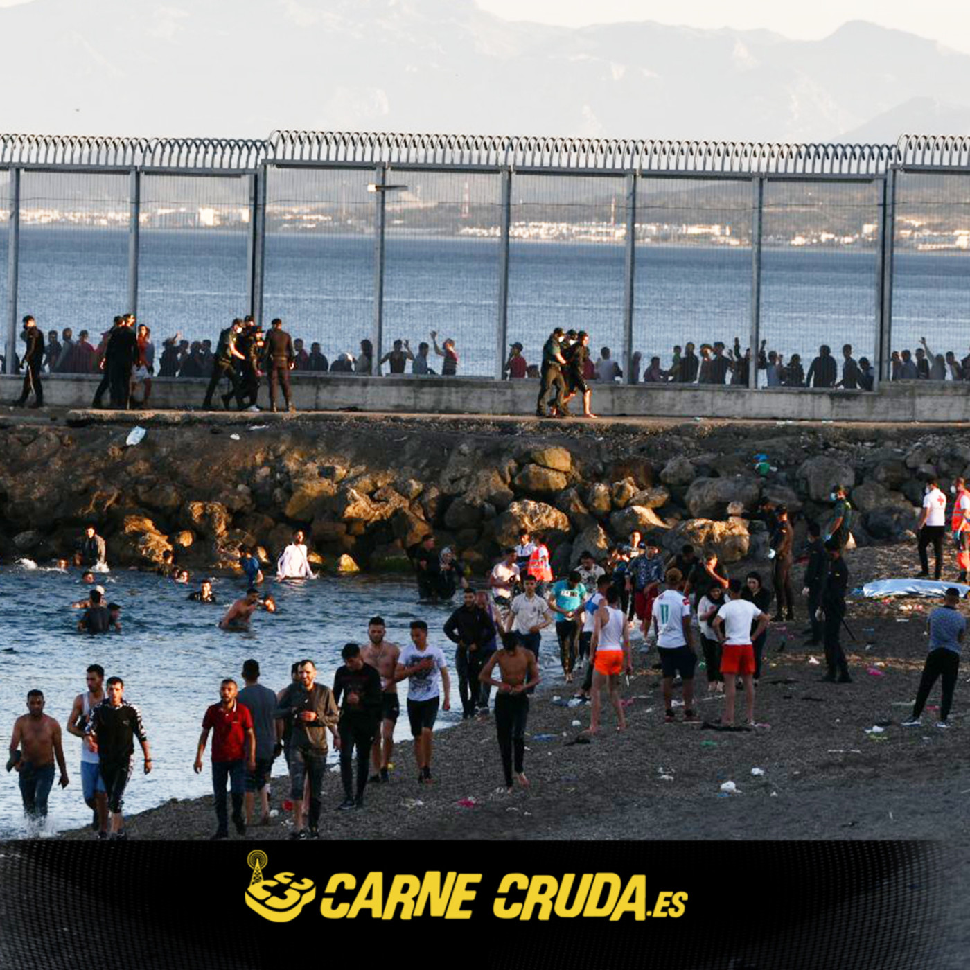Portada de Carne Cruda - PROGRAMAS