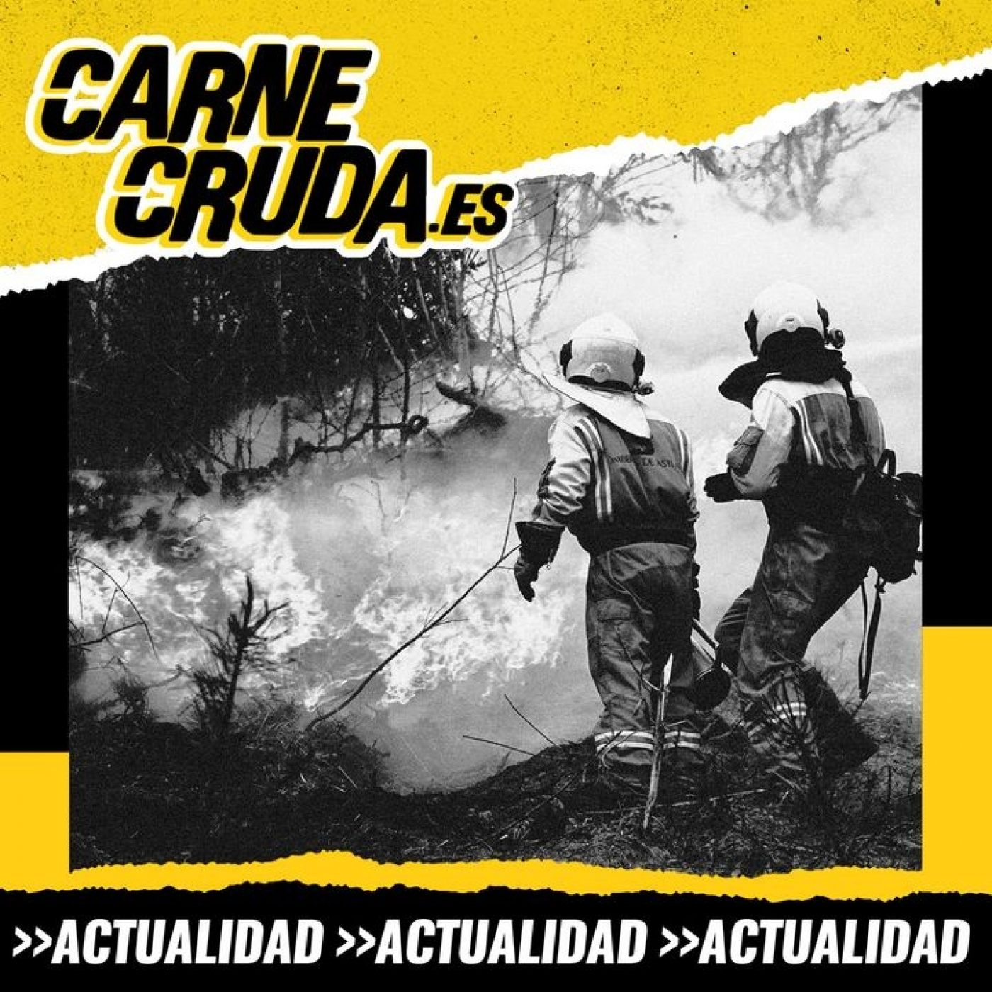 Portada de Carne Cruda - PROGRAMAS