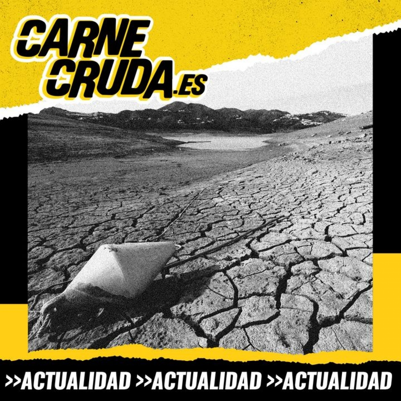 Portada de Carne Cruda - PROGRAMAS