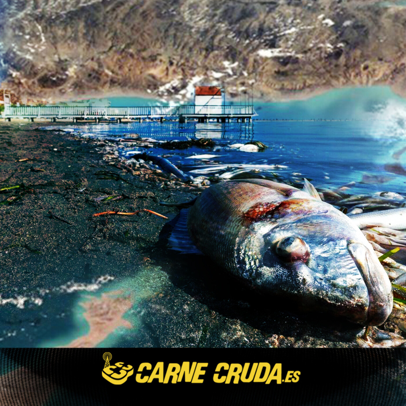 Portada de Carne Cruda - PROGRAMAS