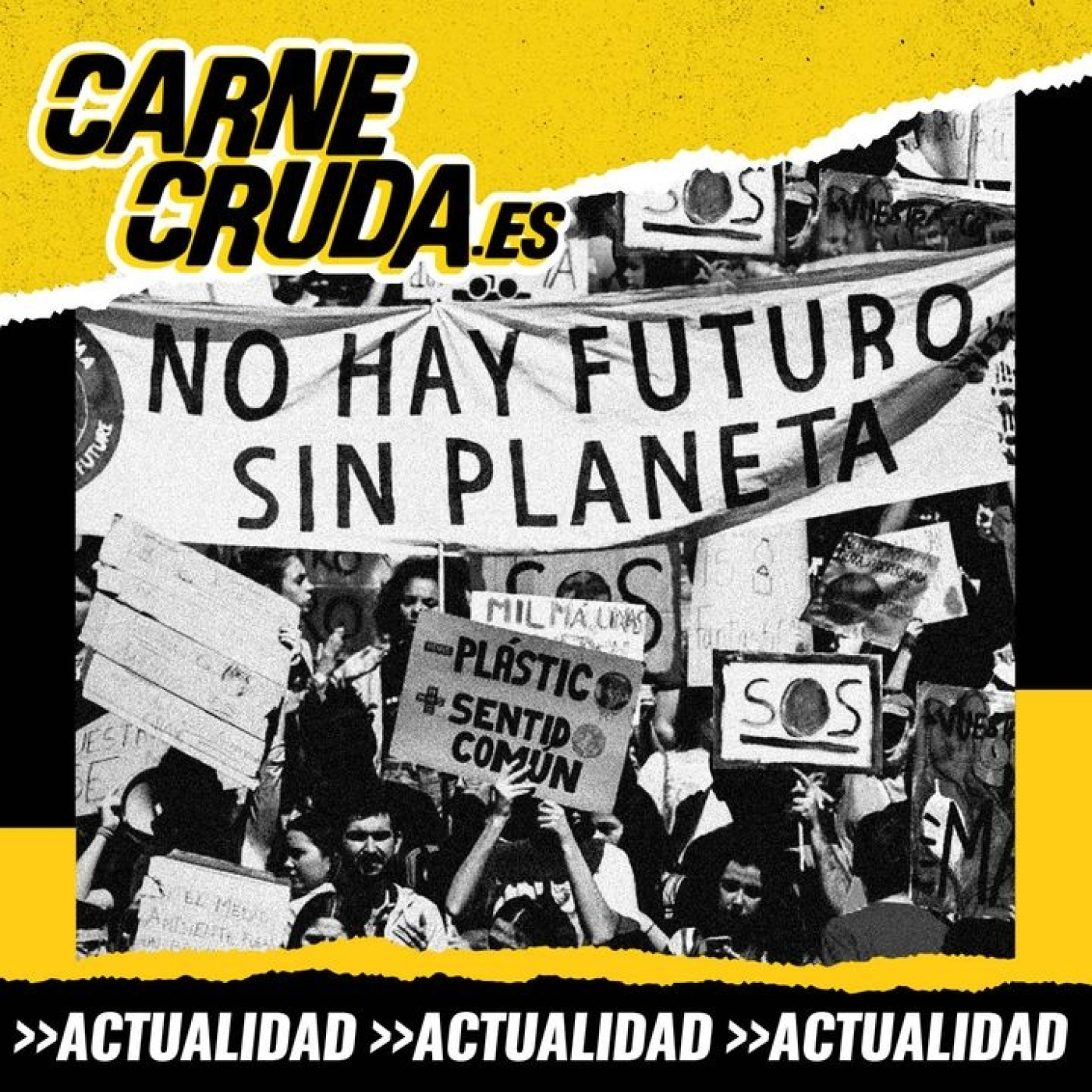 Portada de Carne Cruda - PROGRAMAS