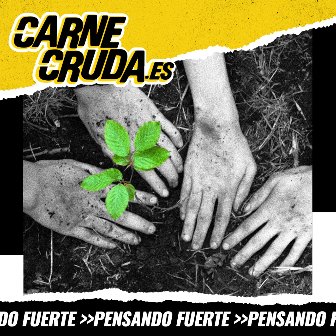 Portada de Carne Cruda - PROGRAMAS