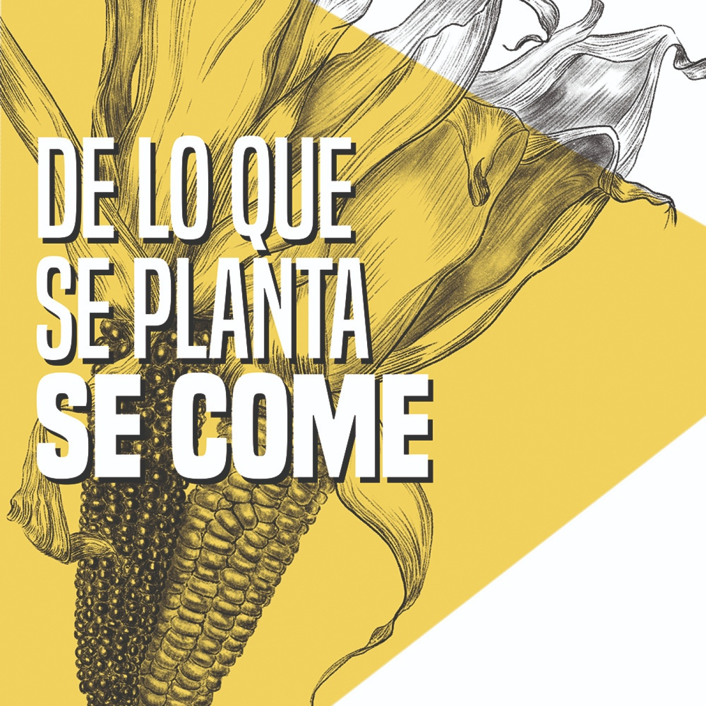 Portada de Carne Cruda - PROGRAMAS