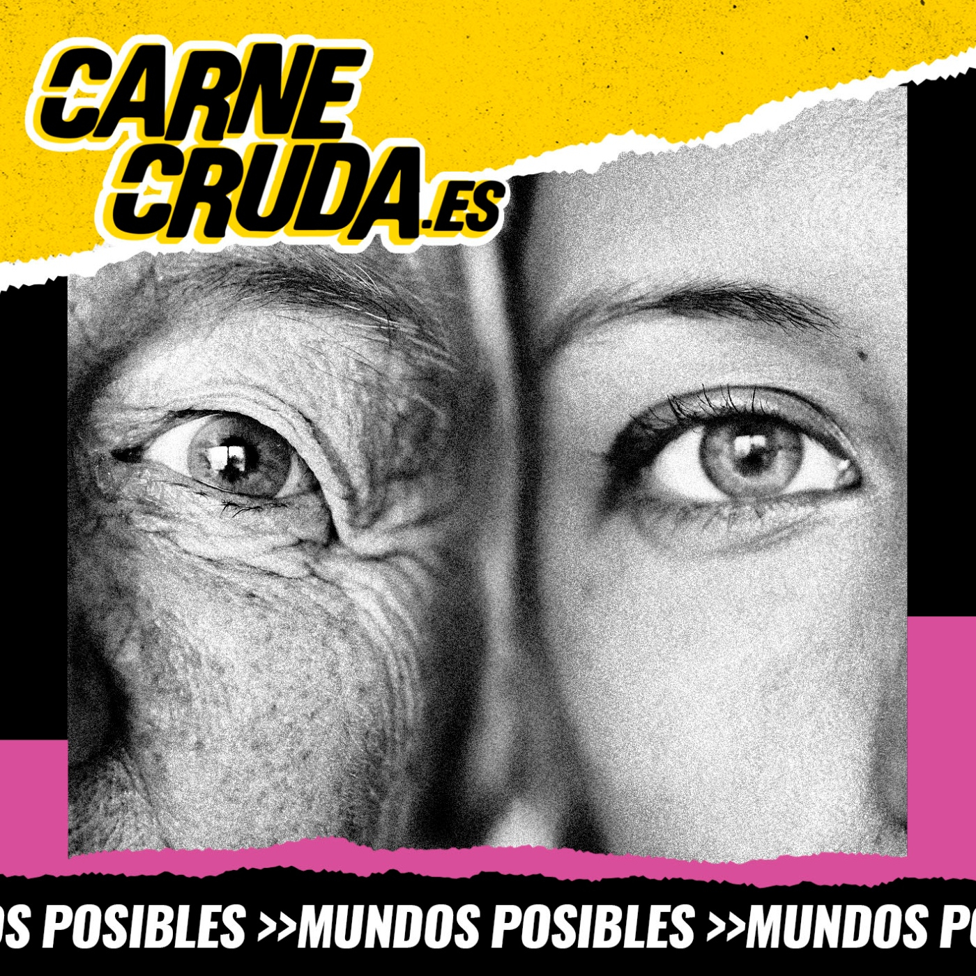 Portada de Carne Cruda - PROGRAMAS