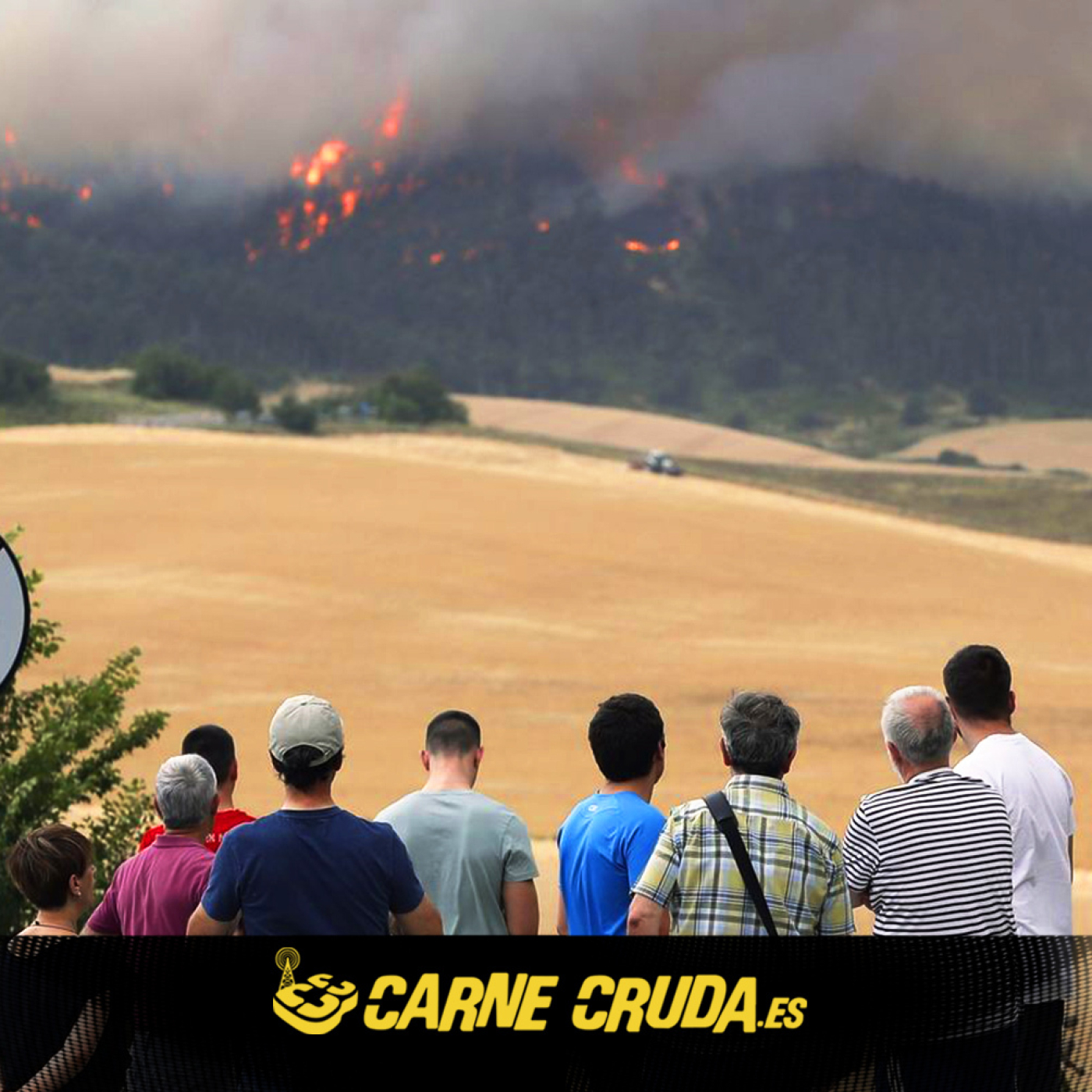 Portada de Carne Cruda - PROGRAMAS