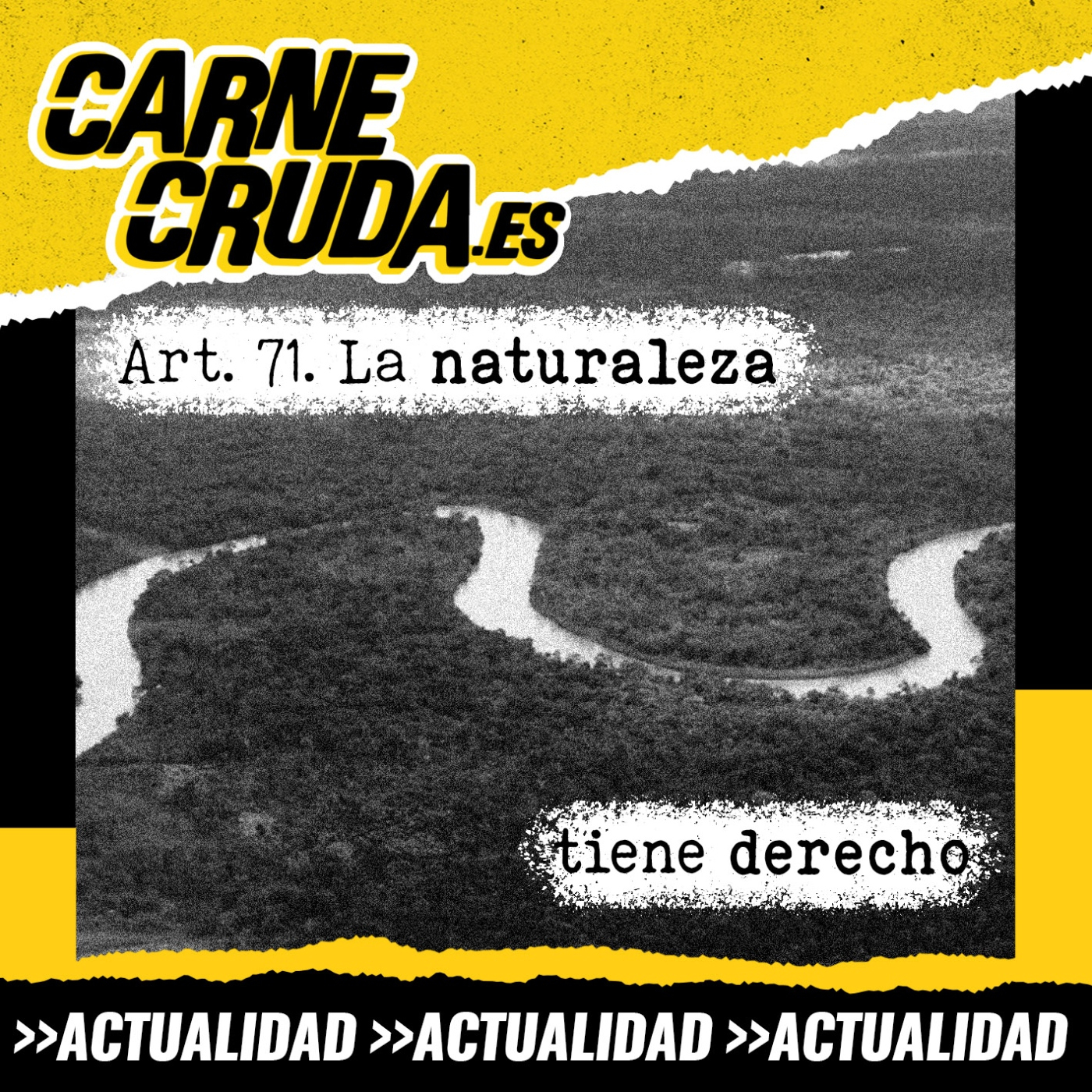 Portada de Carne Cruda - PROGRAMAS