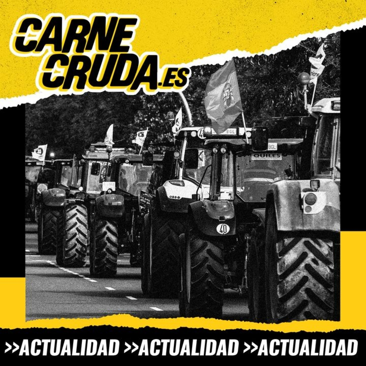 Portada de Carne Cruda - PROGRAMAS