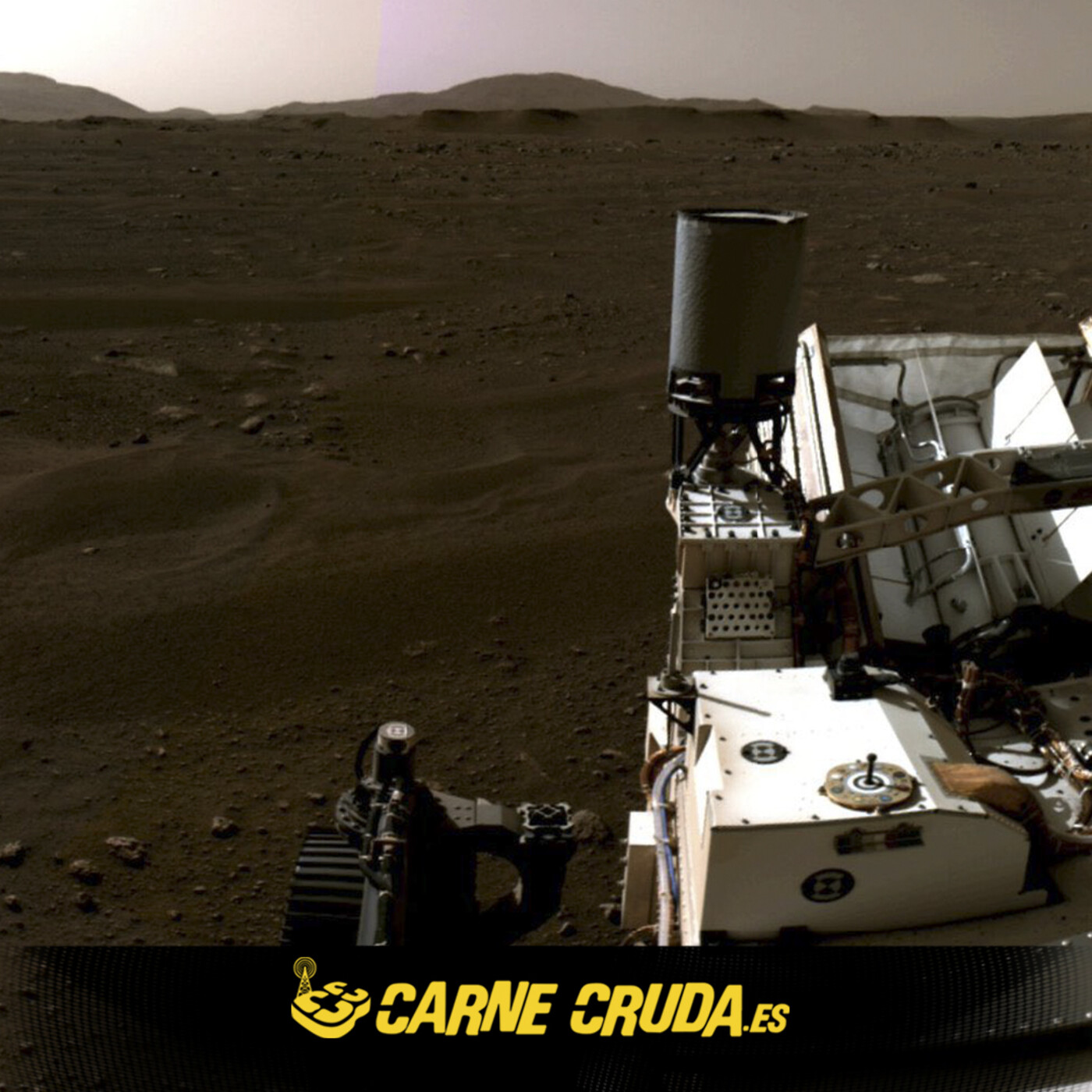 Portada de Carne Cruda - PROGRAMAS