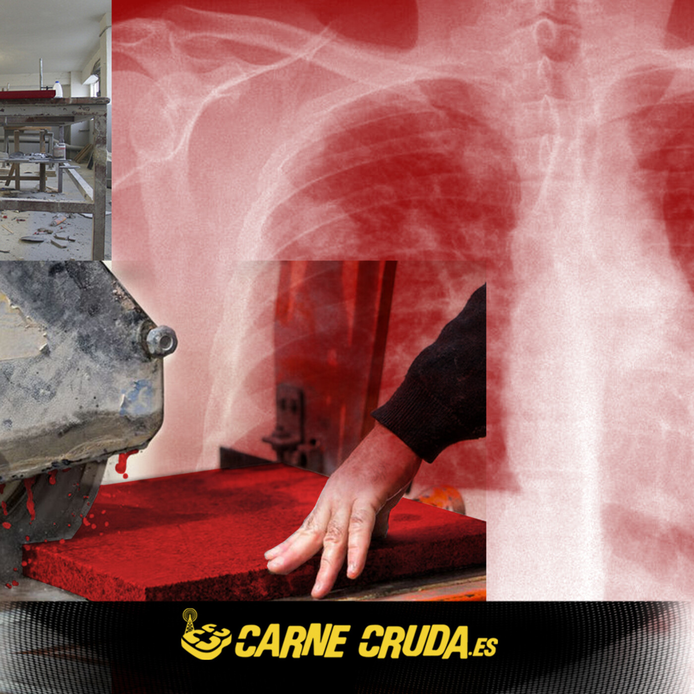 Portada de Carne Cruda - PROGRAMAS