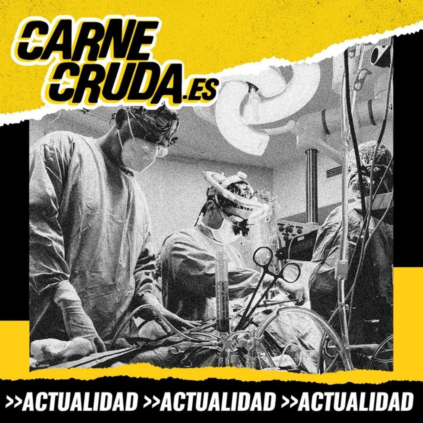 Portada de Carne Cruda - PROGRAMAS