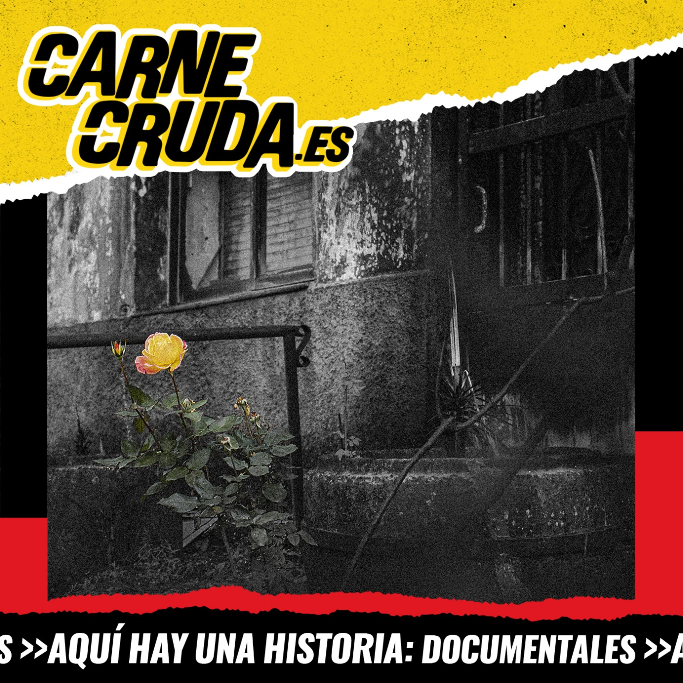 Portada de Carne Cruda - PROGRAMAS