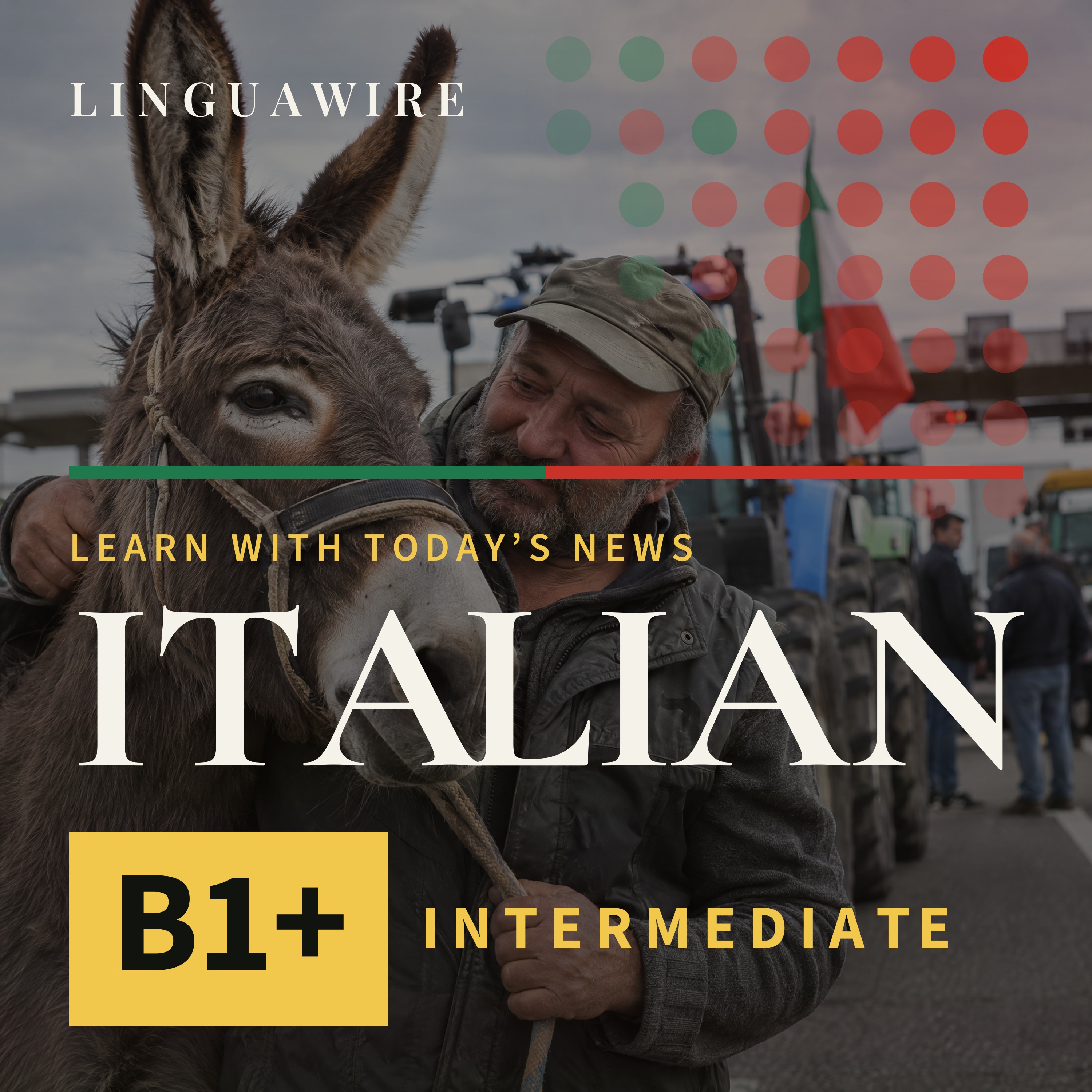 B1 Italian News | Why Susy the Donkey Joined Italy's Fuel Protest