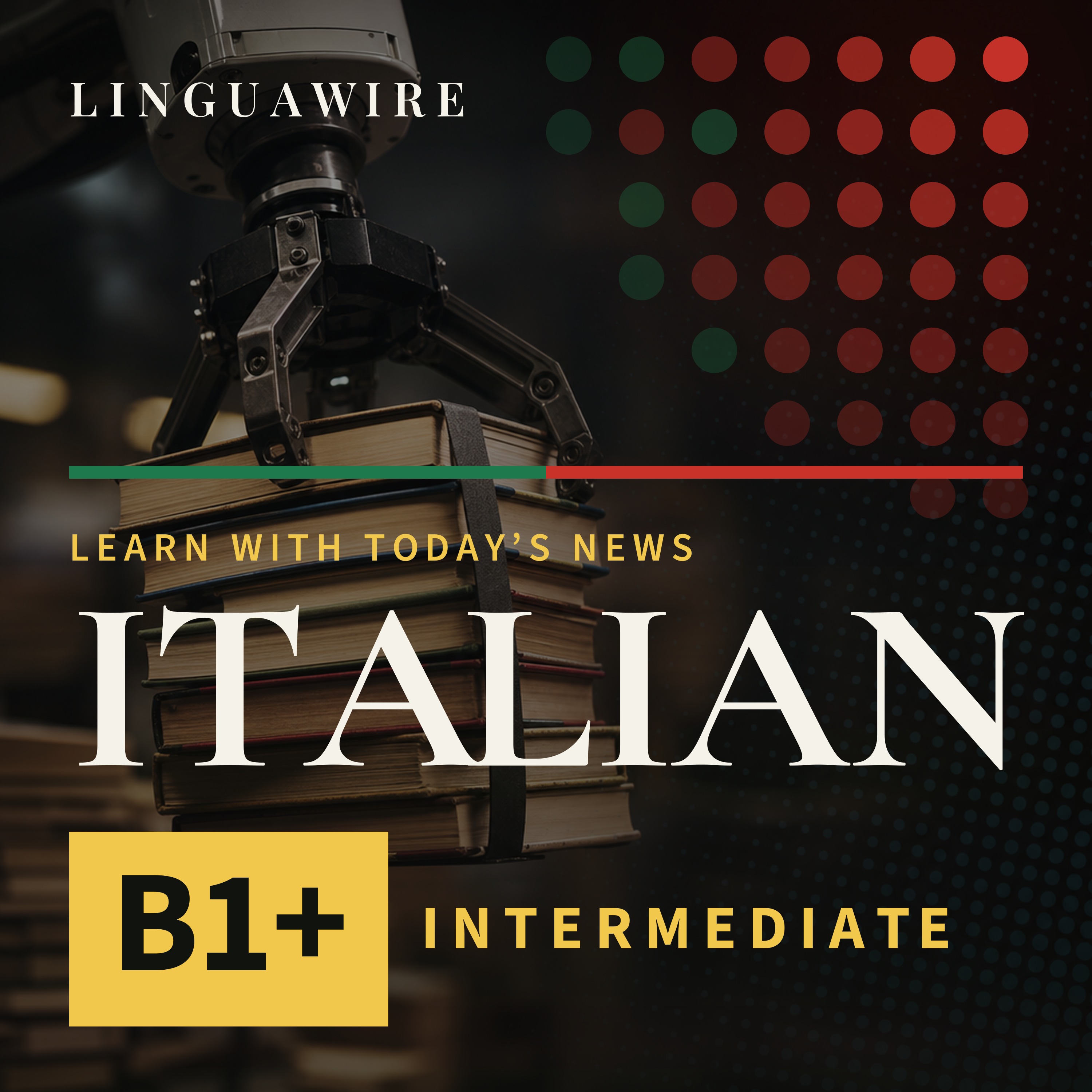 B1 Italian News | Why Are Secondhand Books Selling in Bulk?