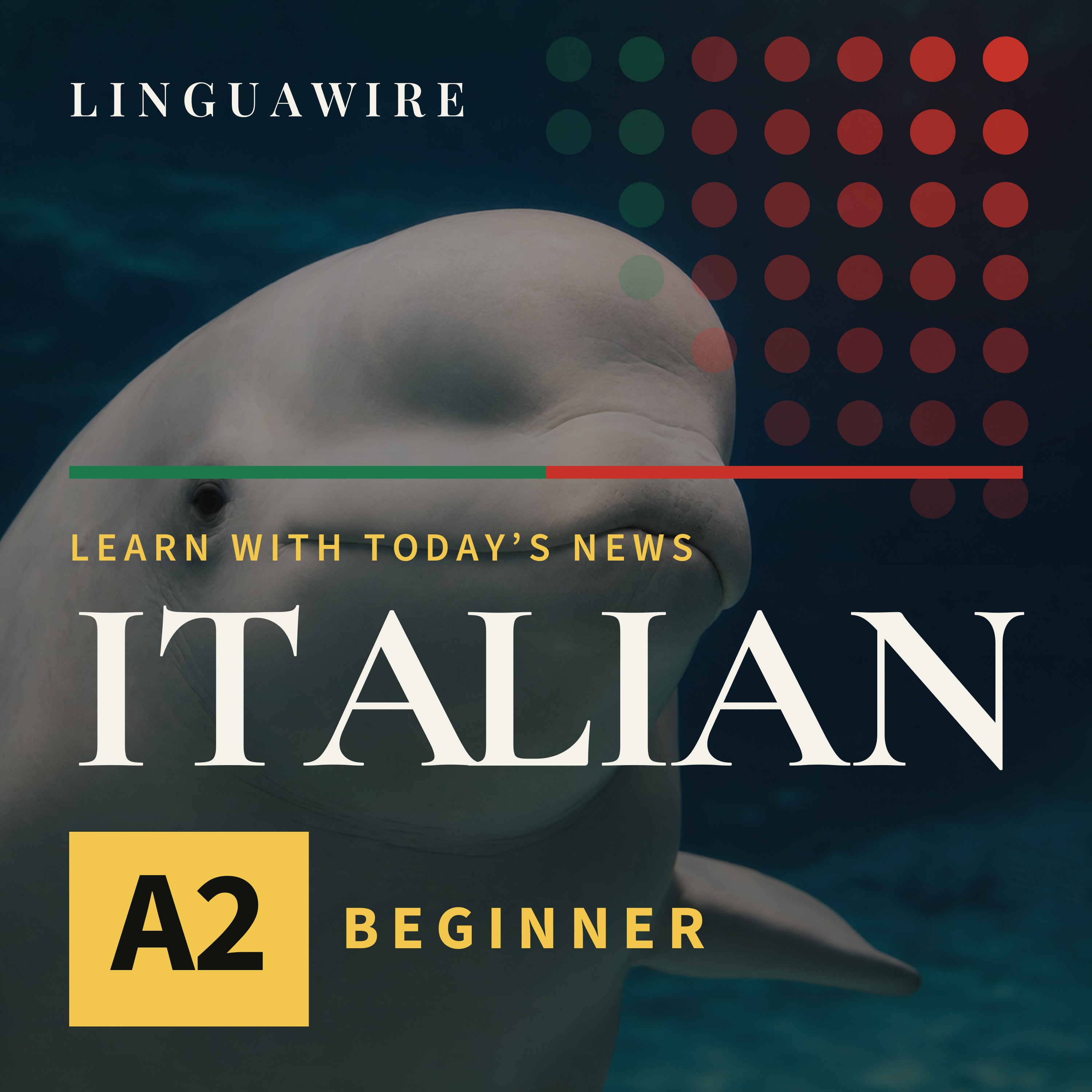A2 Italian News | Seven Beluga Whales Arrive in Texas