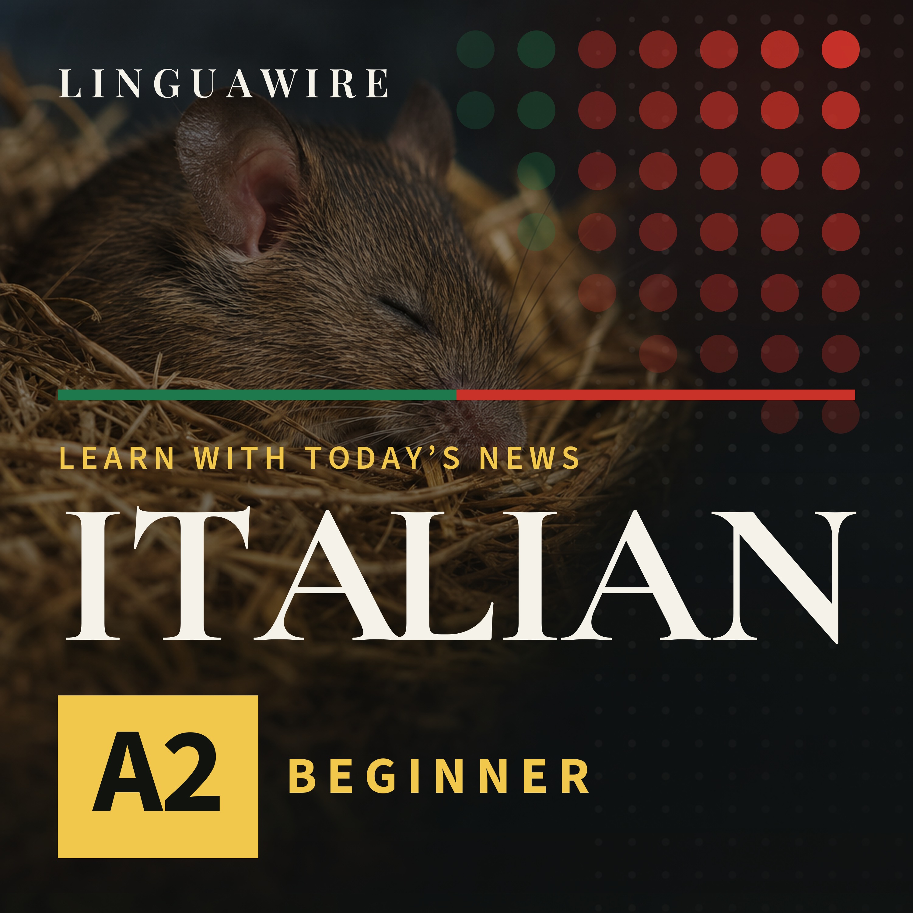 A2 Italian News | Mice Lose Synapses but Keep Their Memories episode artwork