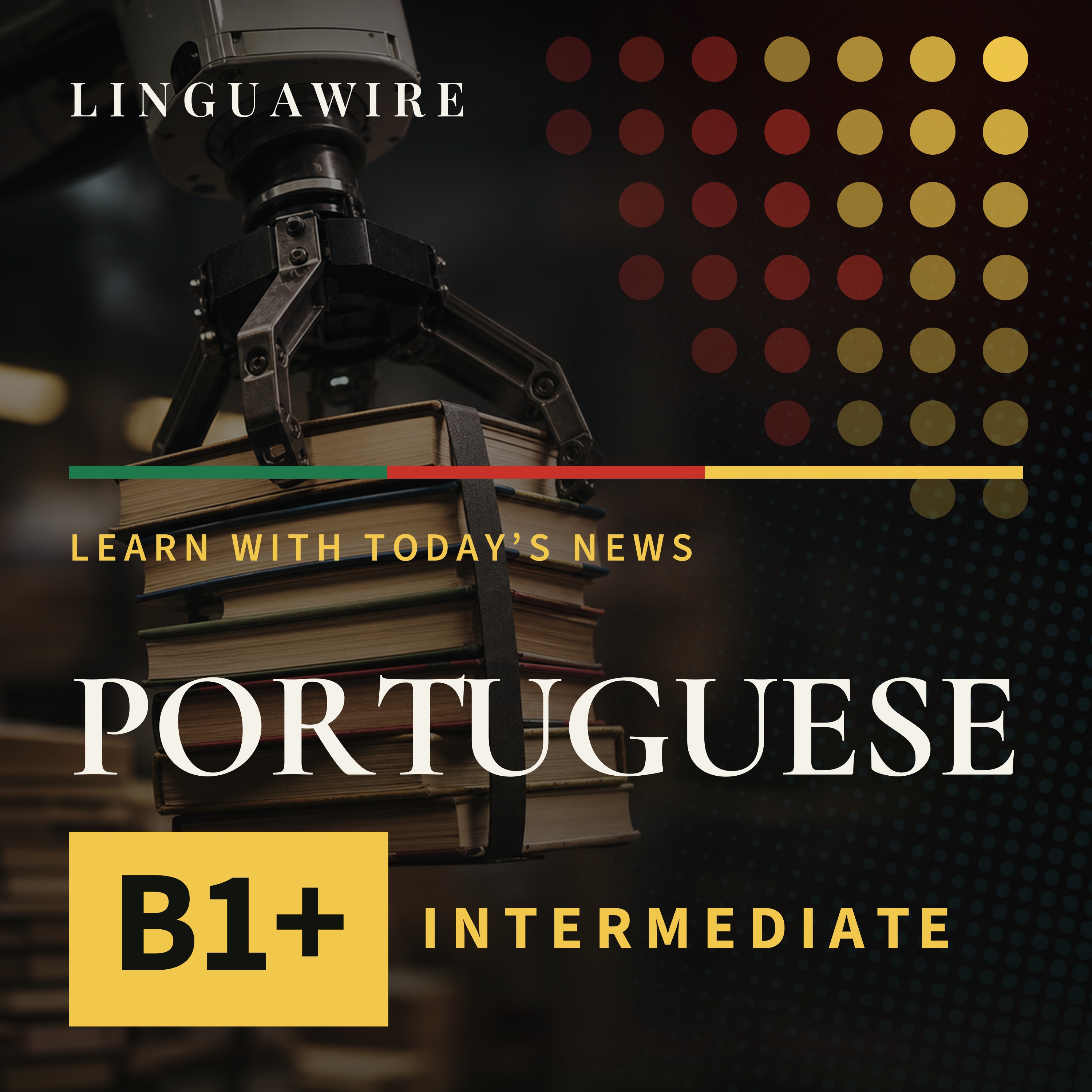 B1 European Portuguese News | Why Are Secondhand Books Selling in Bulk?