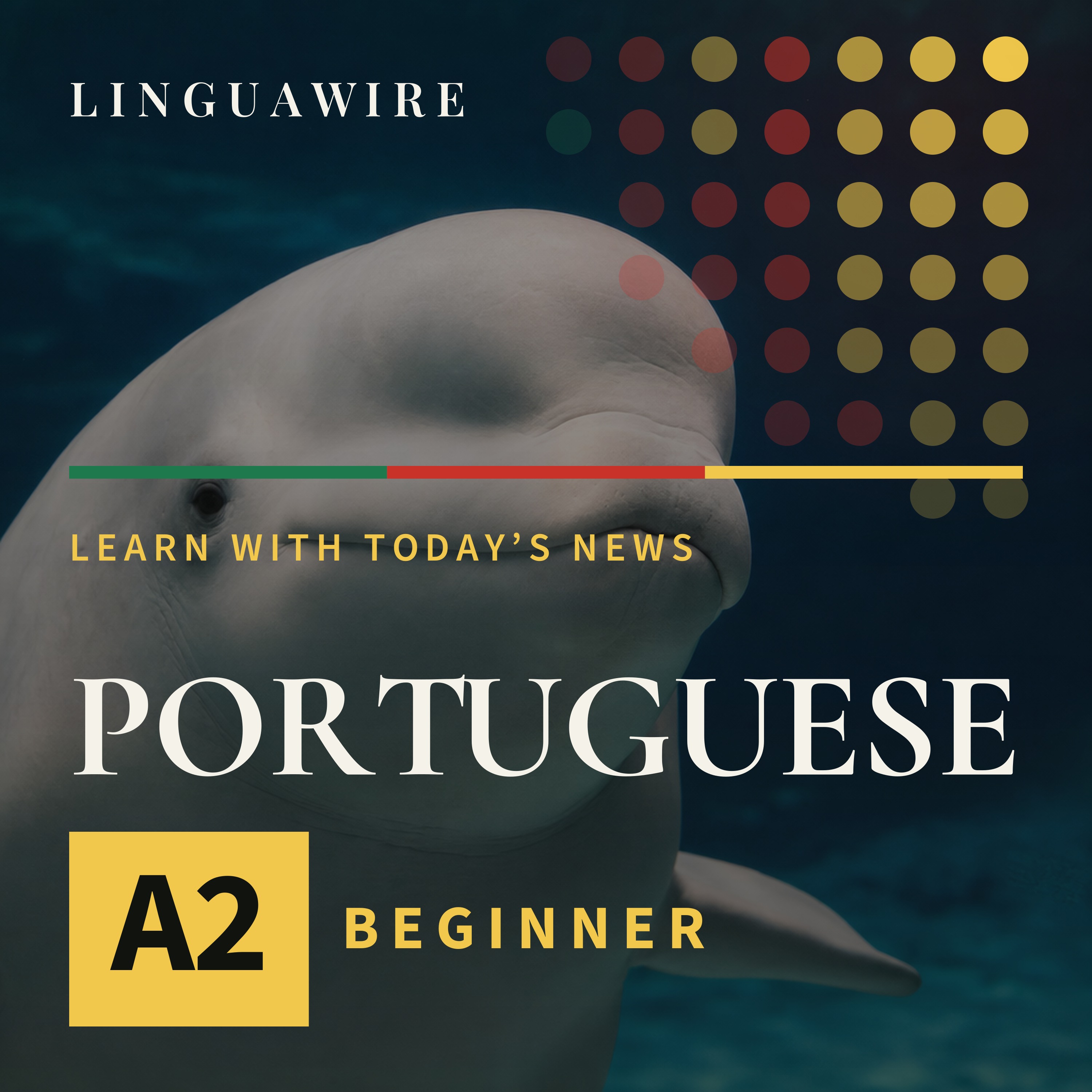 A2 European Portuguese News | Seven Beluga Whales Arrive in Texas episode artwork