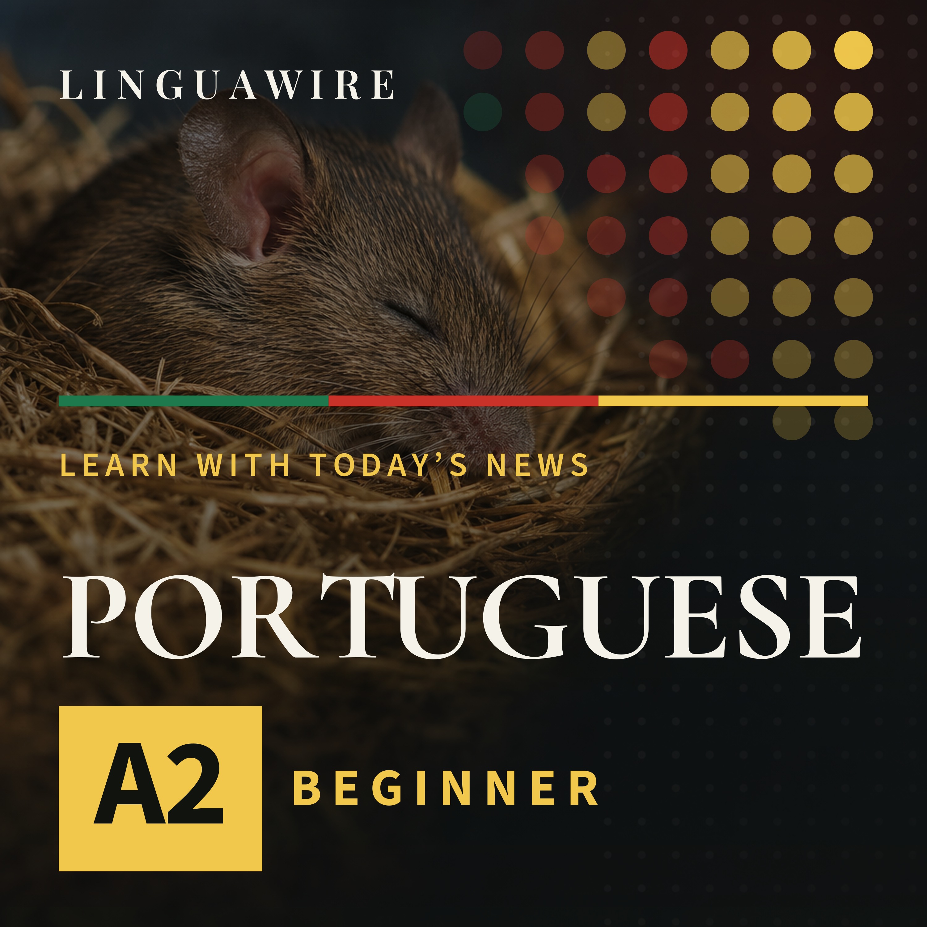A2 European Portuguese News | Mice Lose Synapses but Keep Their Memories