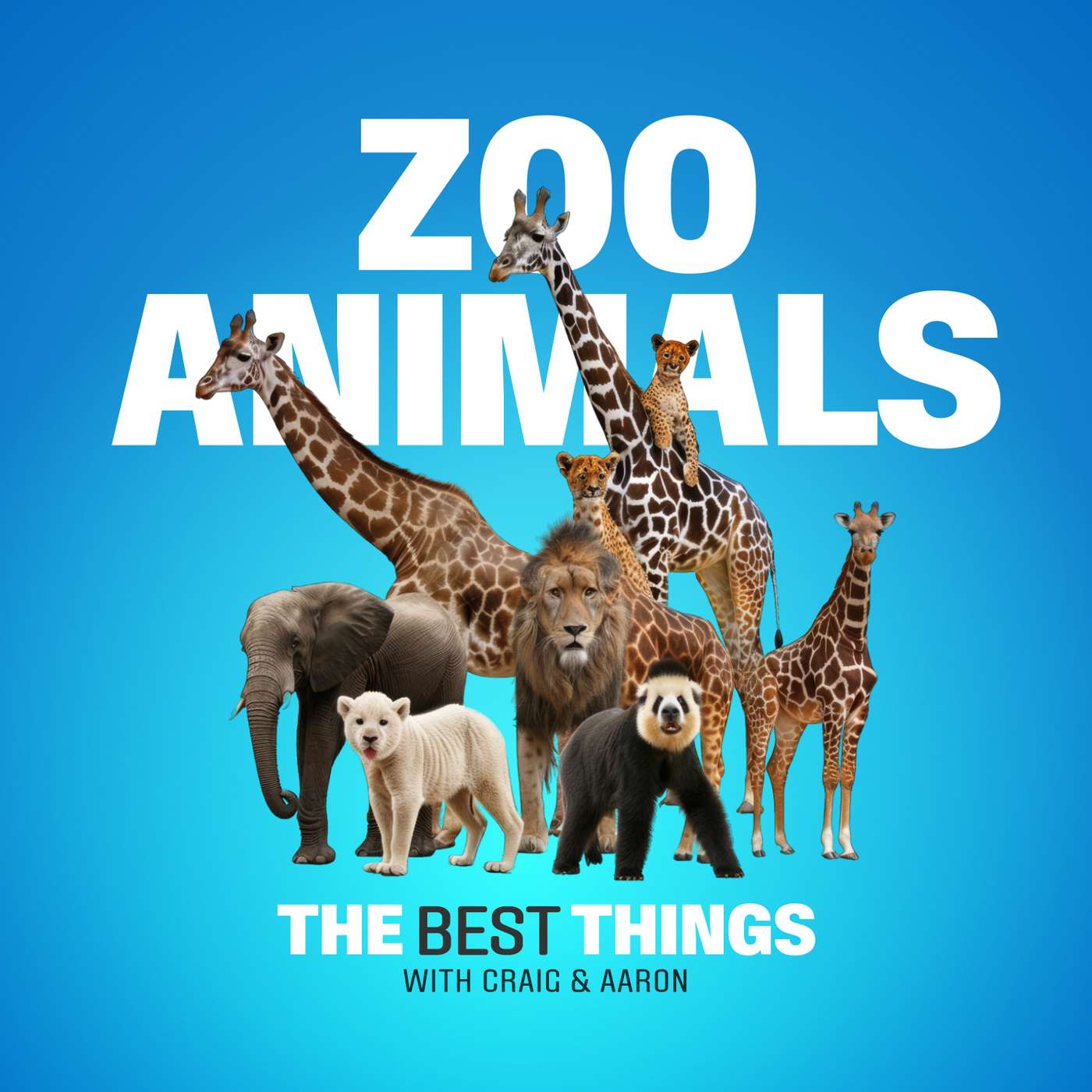 We Went to the Zoo! episode artwork