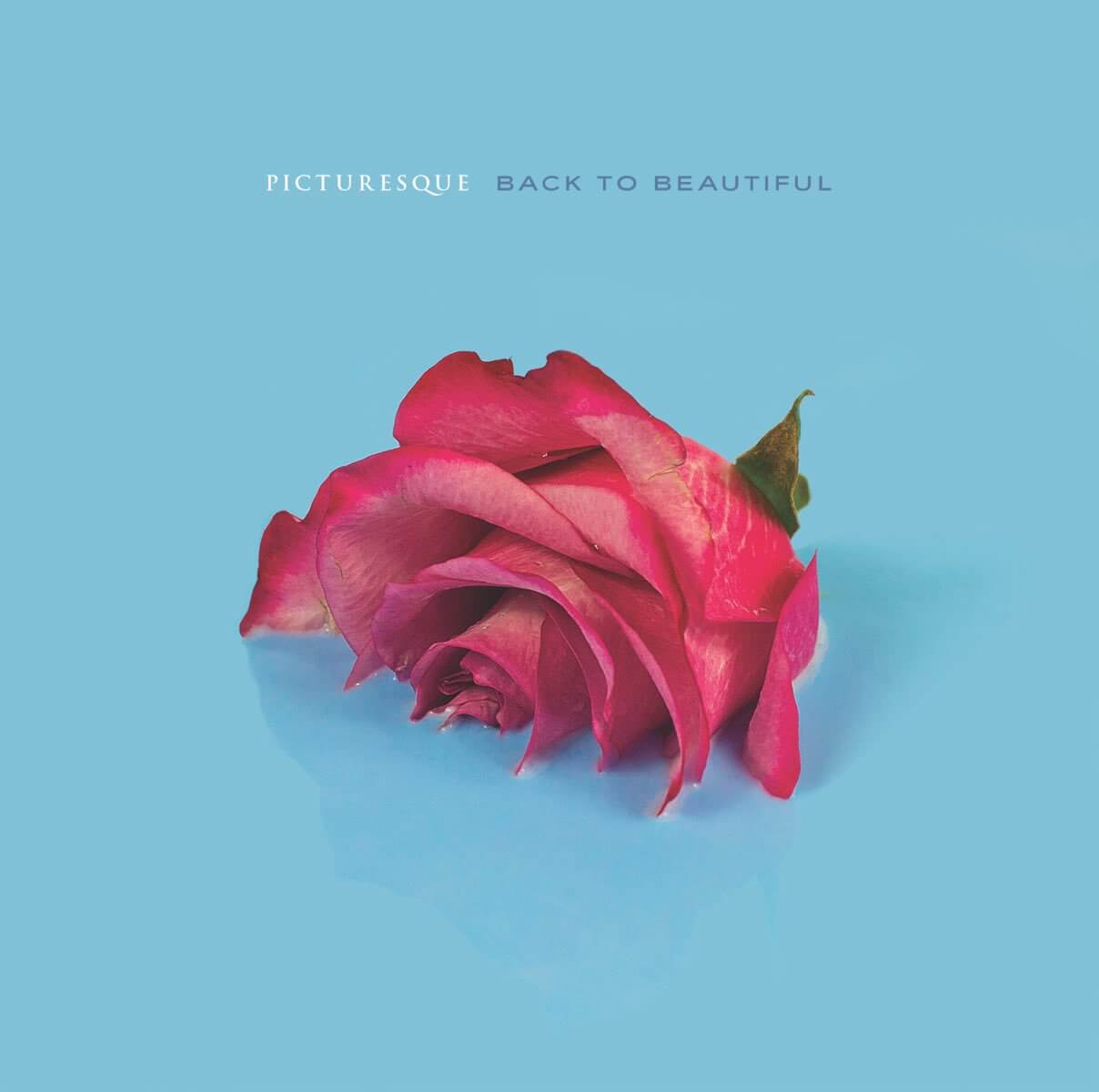 Picturesque - Kyle Hollis - Ian Hates Music #119 episode artwork