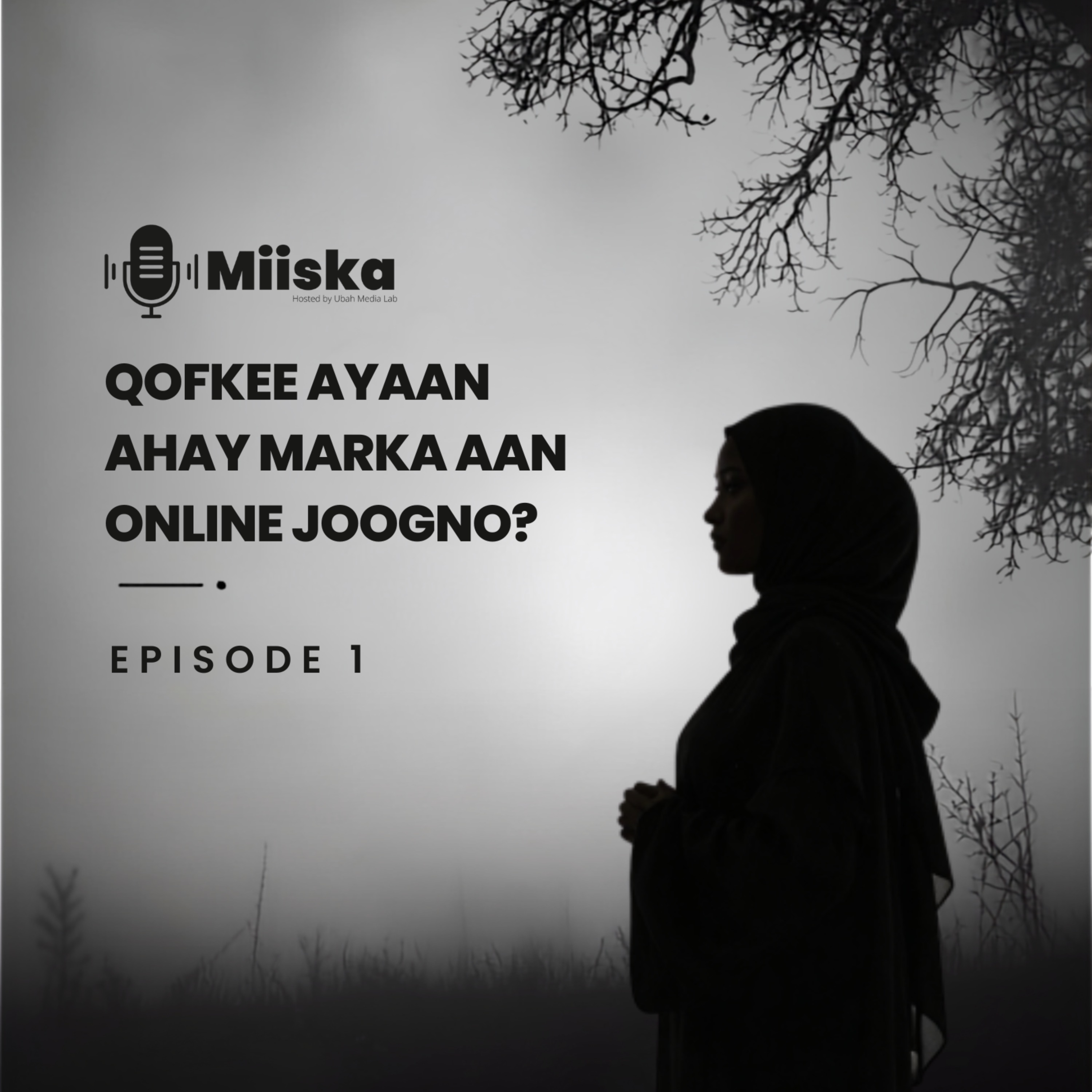 Qofkee Ayaan ahay Marka Aan Online Joogno? episode artwork