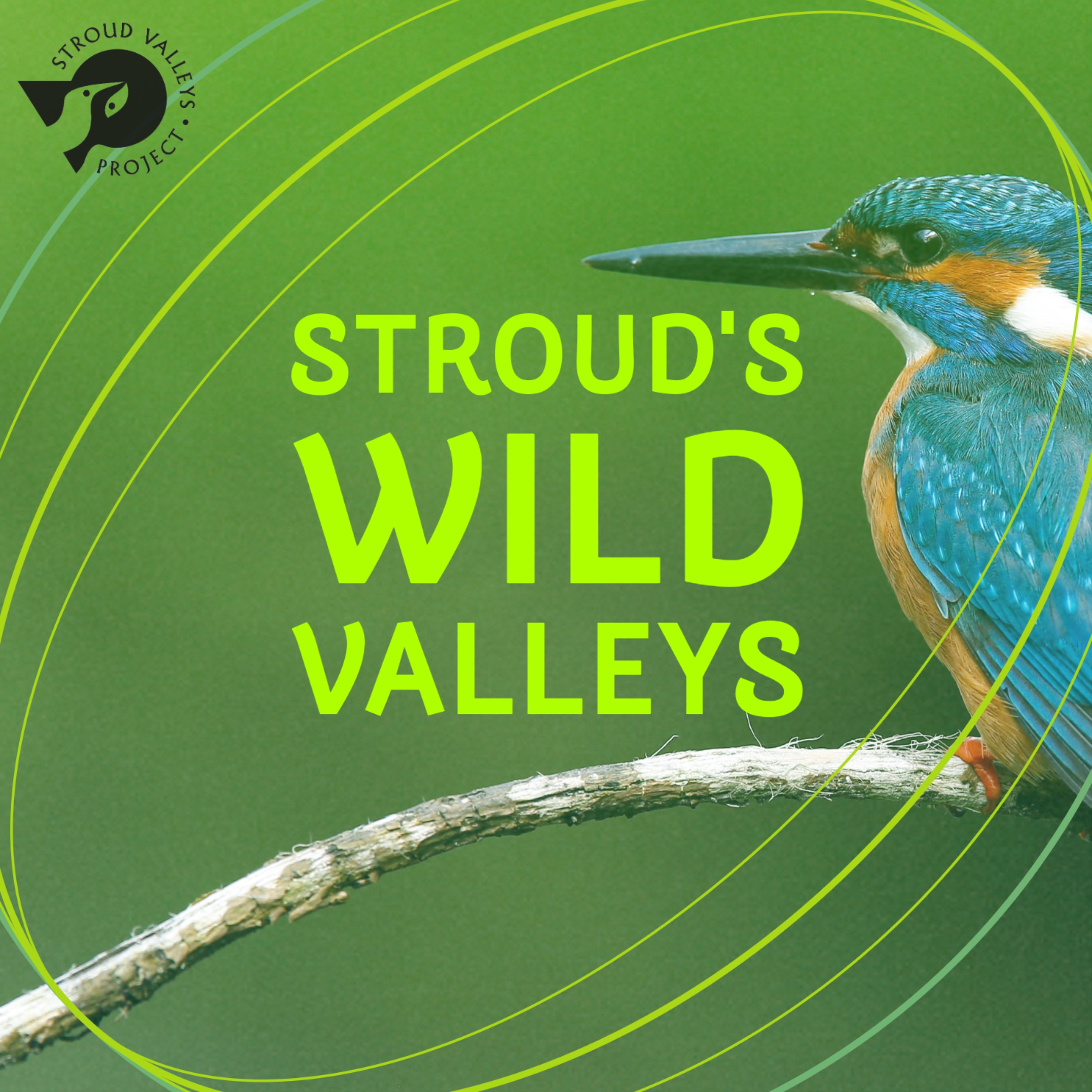 Logo of the podcast Stroud's Wild Valleys Podcast Stroud's Wild Valleys