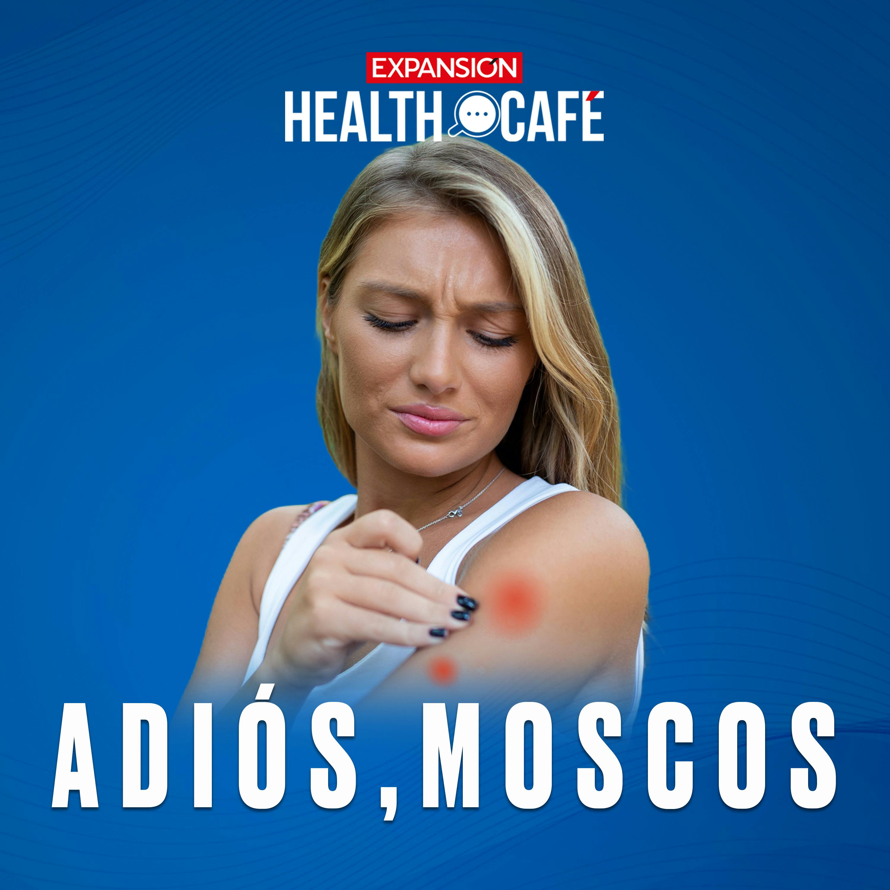 ¿Cómo prevenir el dengue, zika y chikungunya?