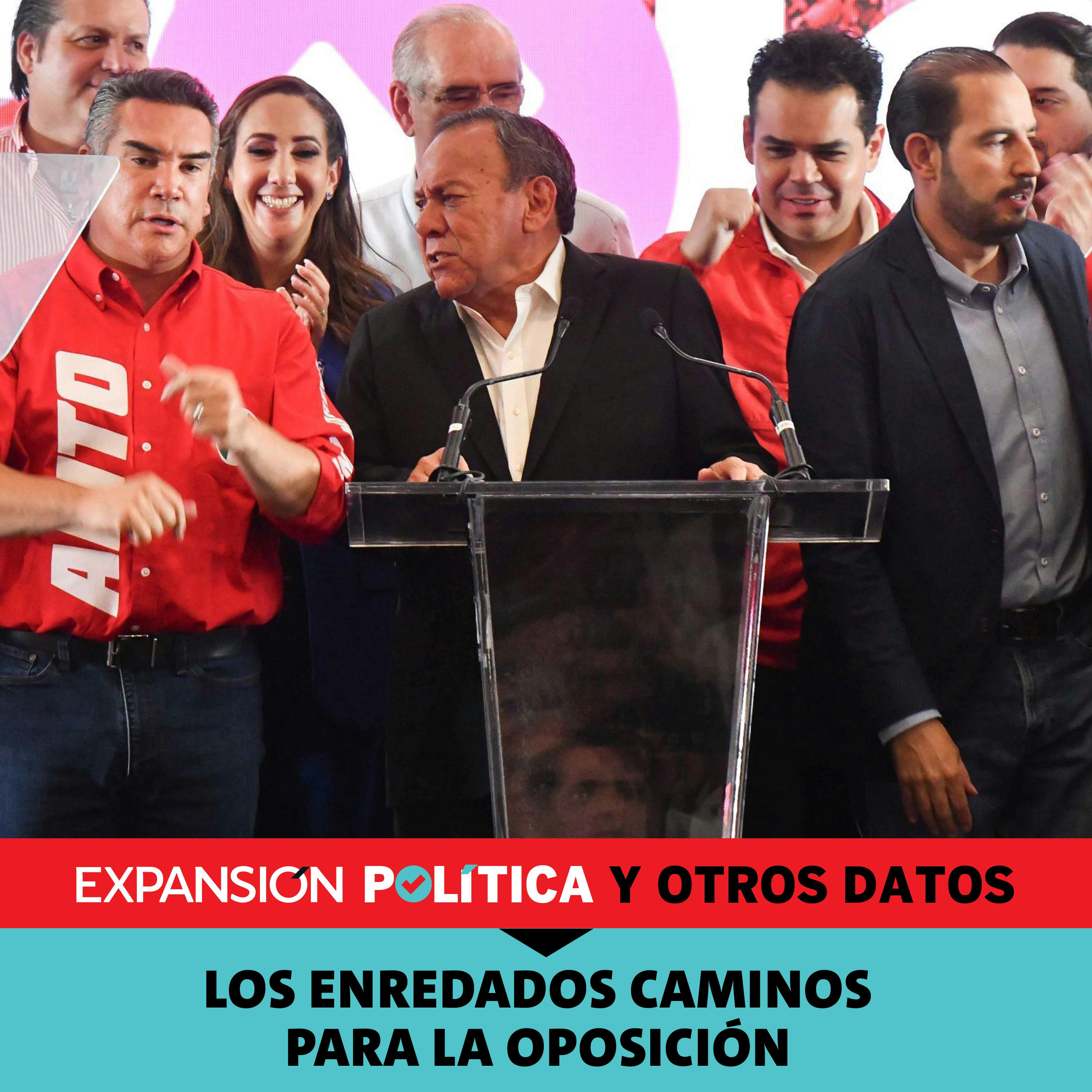Los enredados caminos para la oposición | Episodio 162 episode artwork