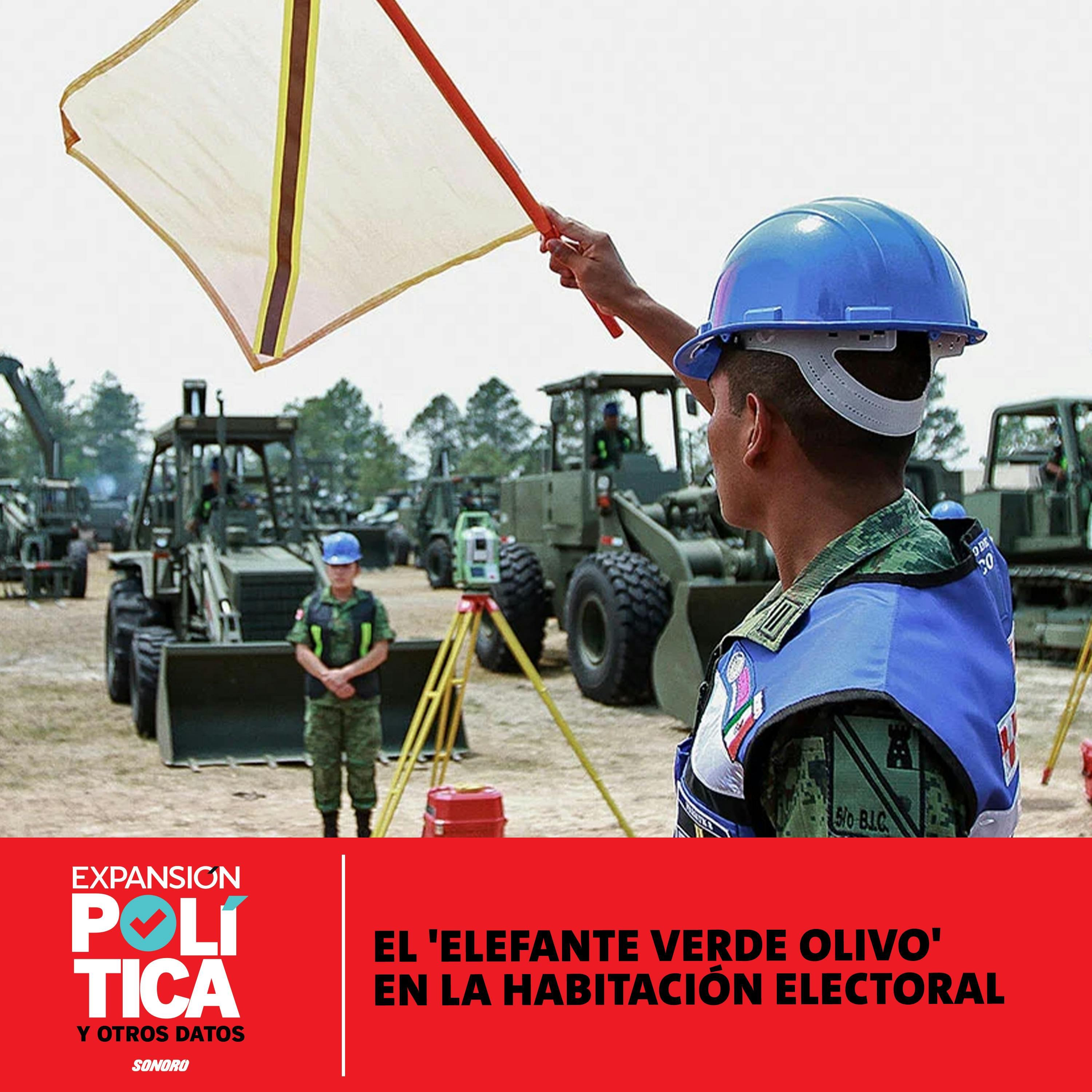 El 'elefante verde olivo' en la habitación electoral | Episodio 155 episode artwork