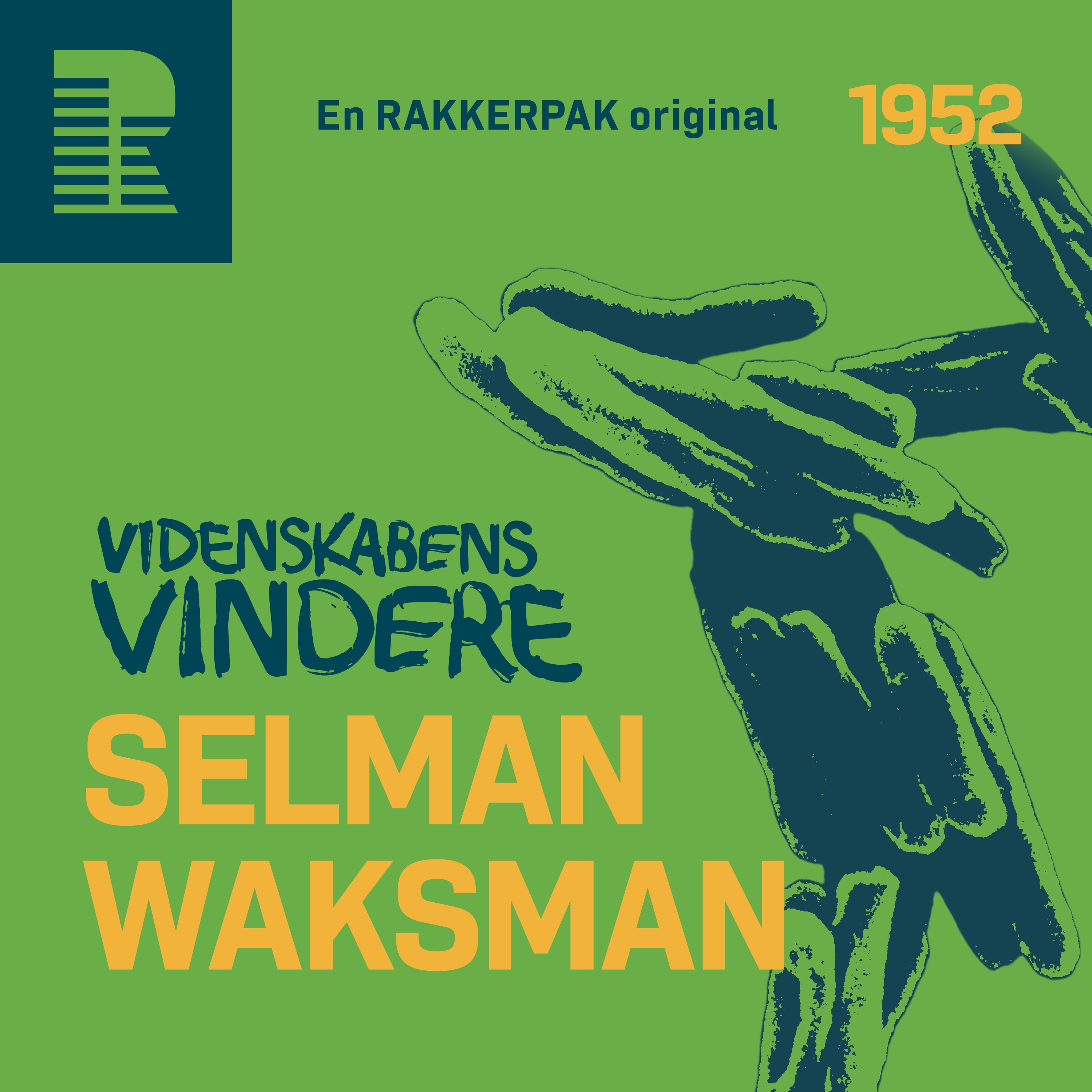 1952: Selman Waksman og kampen om mirakelkuren
