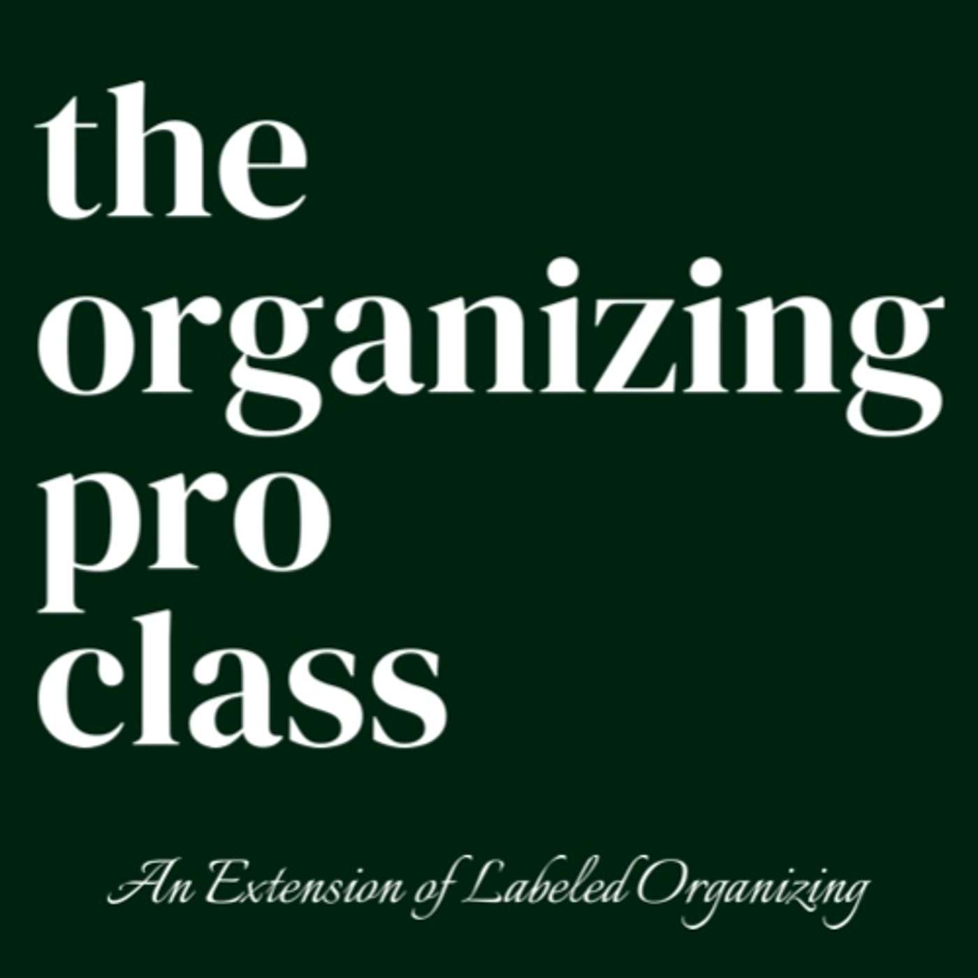 69. Trailer: The Organizing Pro Class