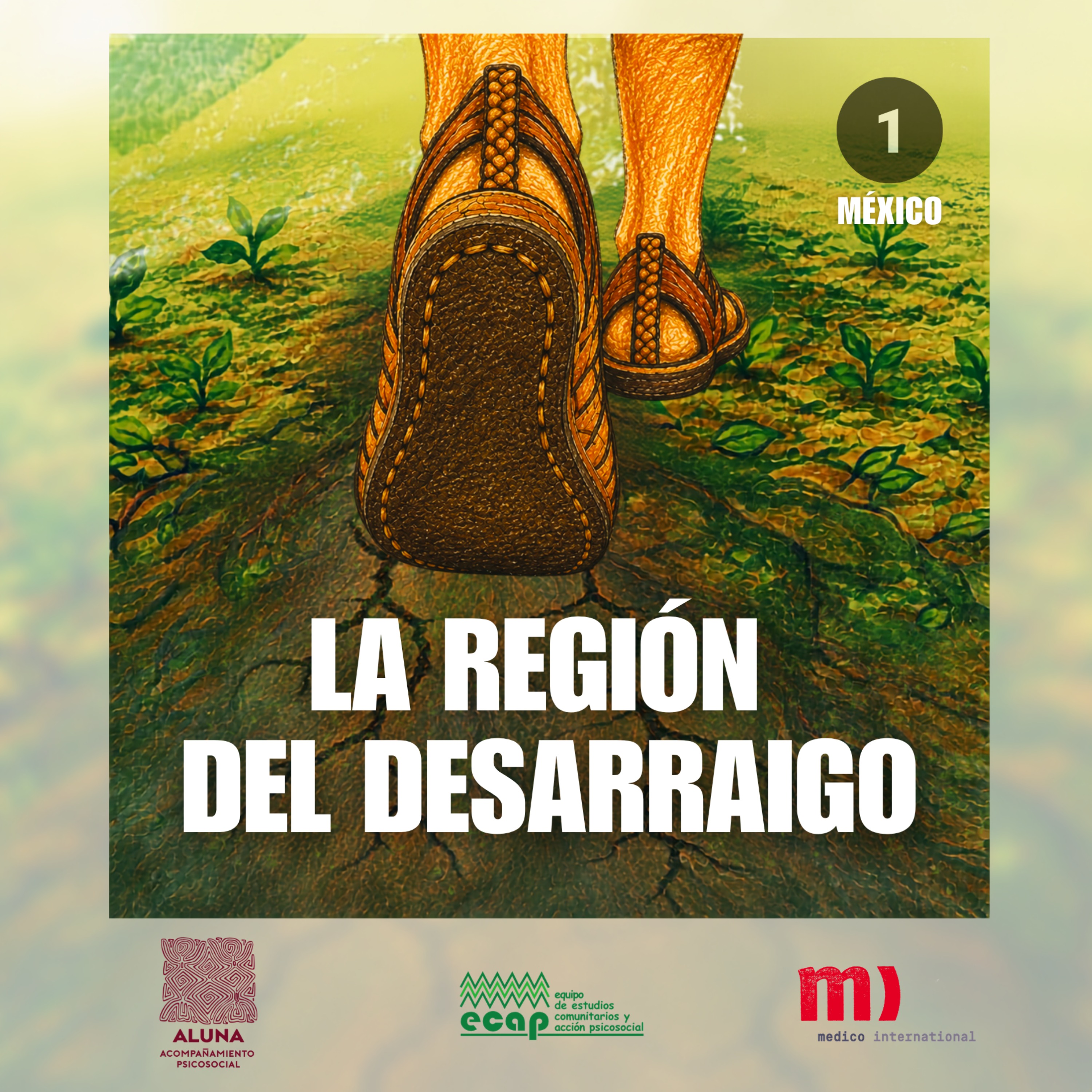 Portada de La región del desarraigo