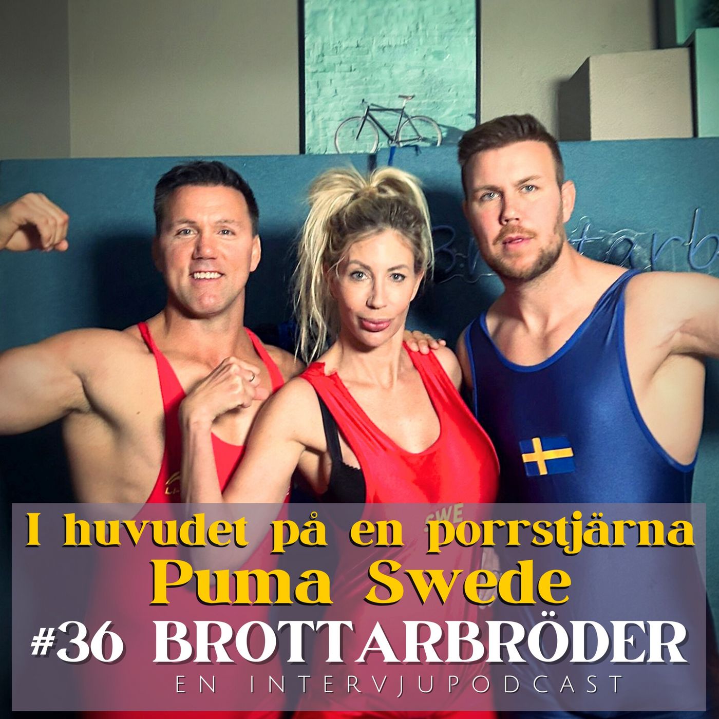 #36 I huvudet på en porrstjärna - Puma Swede episode artwork
