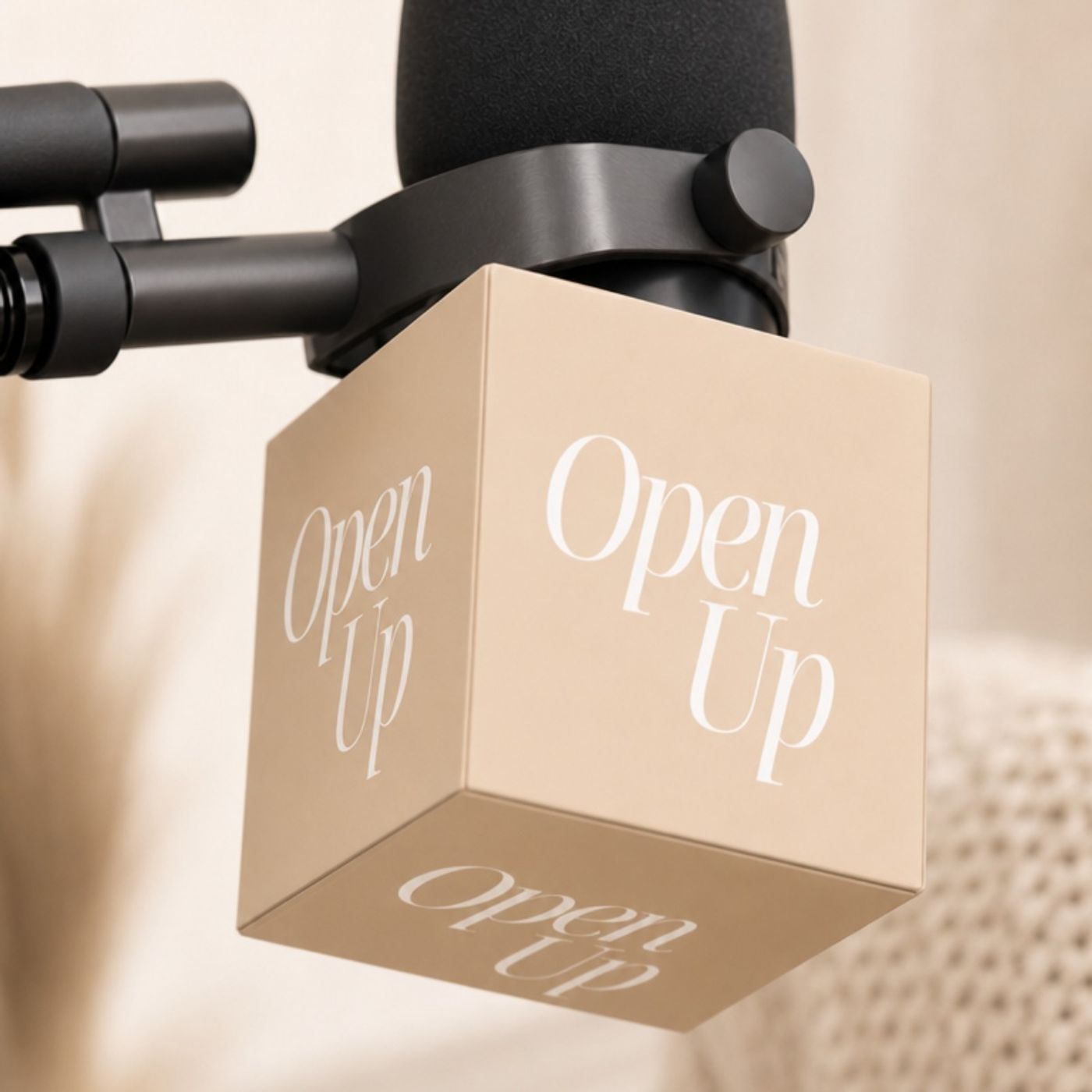 Open Up Podcast podcast artwork