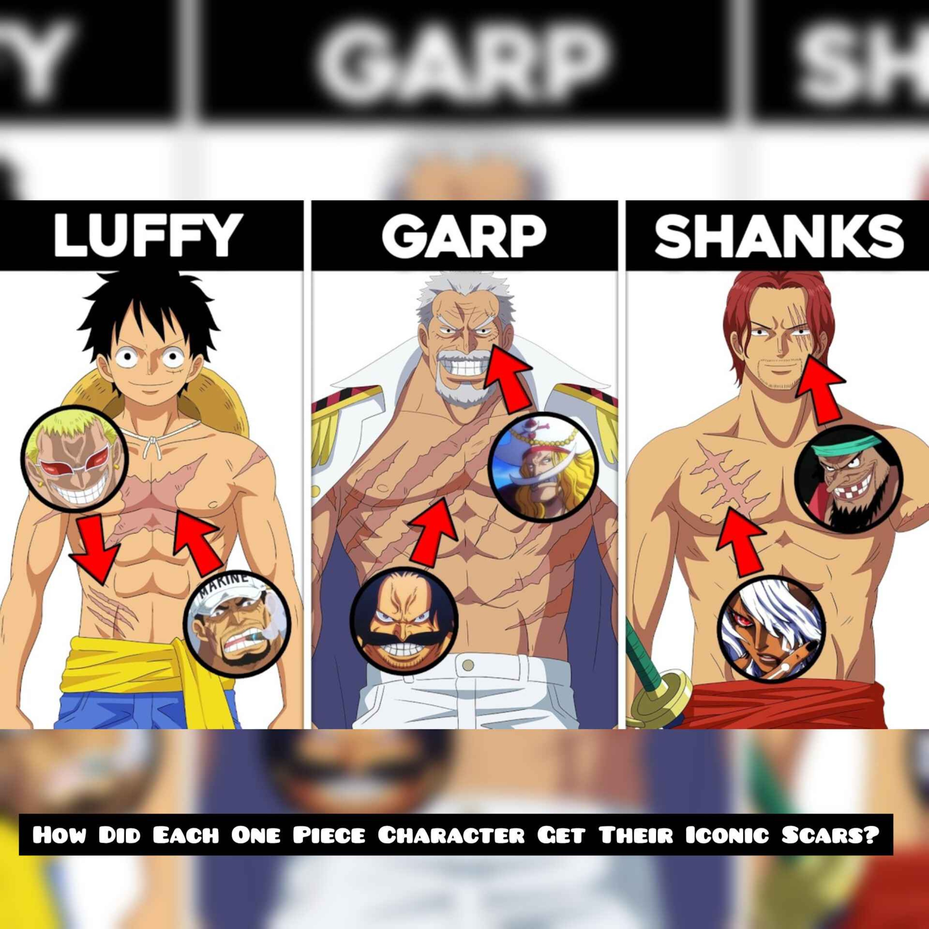 How Did Each One Piece Character Get Their Iconic Scars?