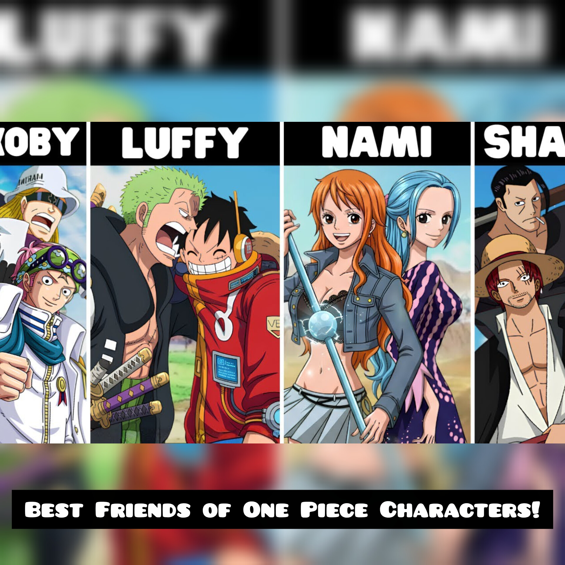 Best Friends of One Piece Characters!