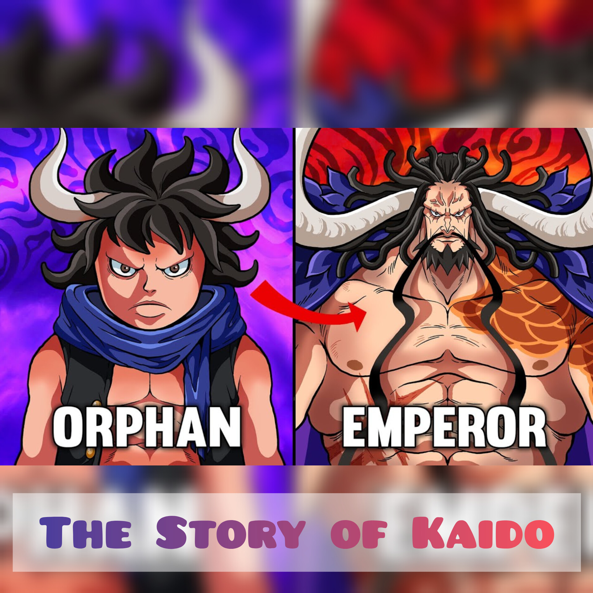 The Story of Kaido (One Piece)