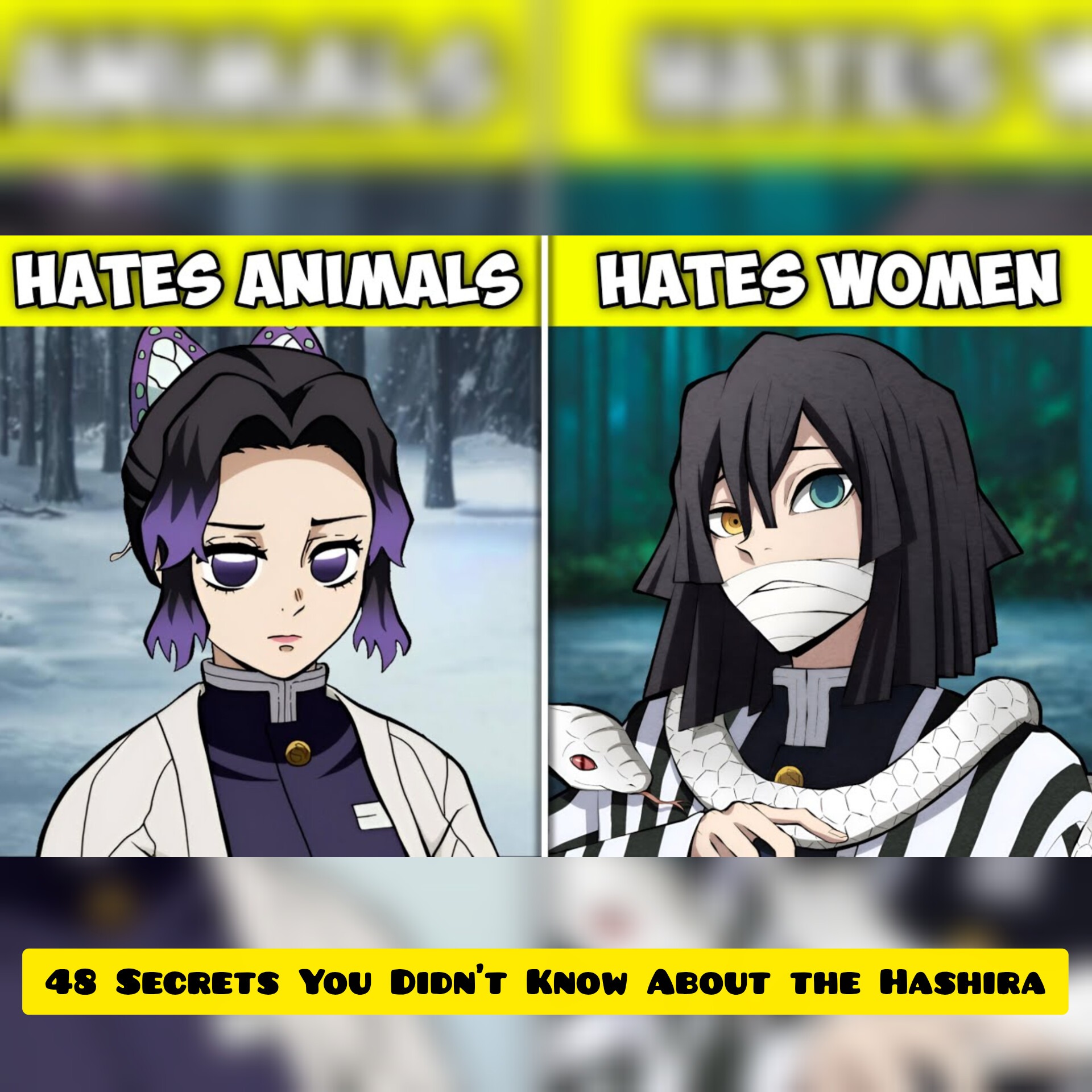 48 Secrets You Didn't Know About the Hashira
