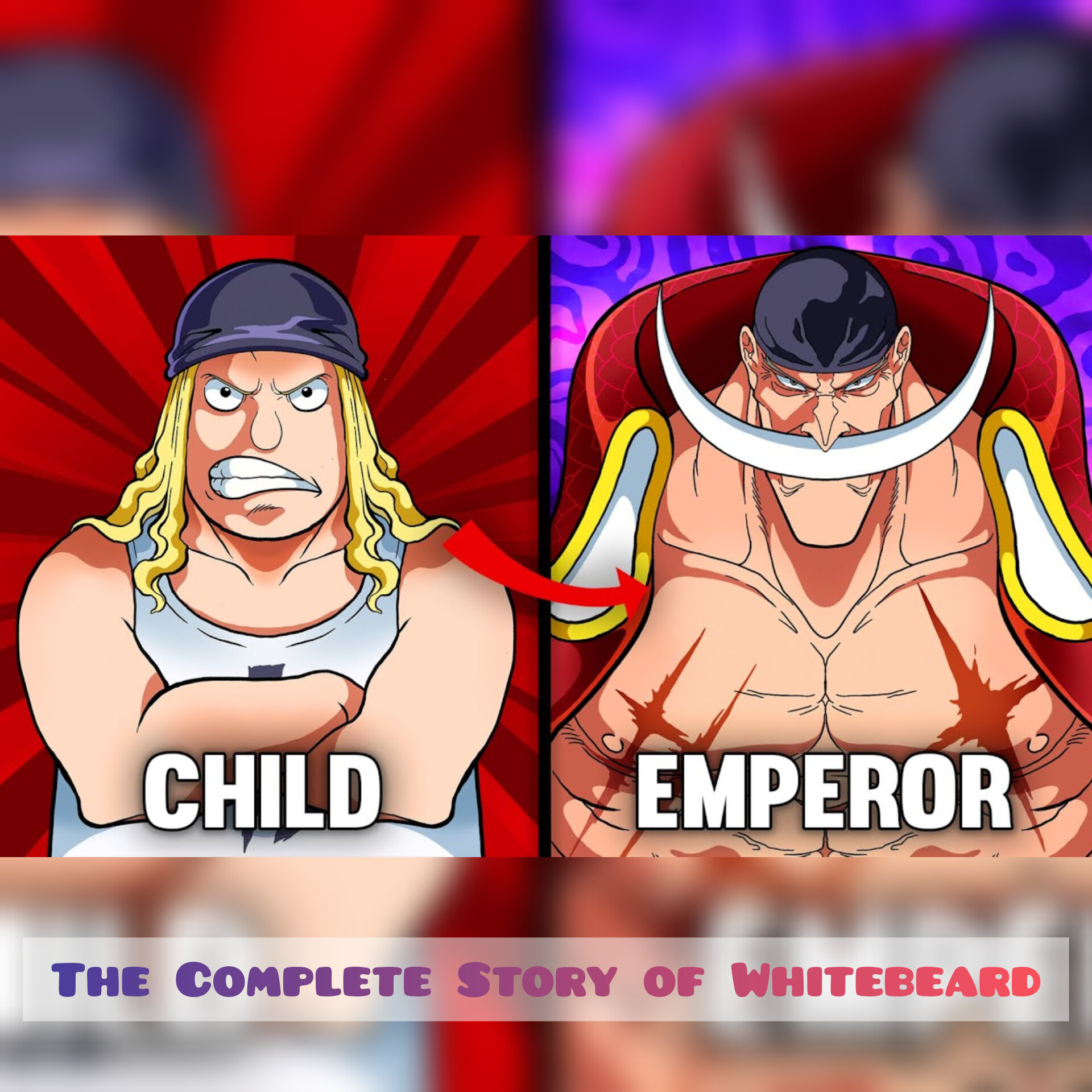 The Complete Story of Whitebeard (One Piece)