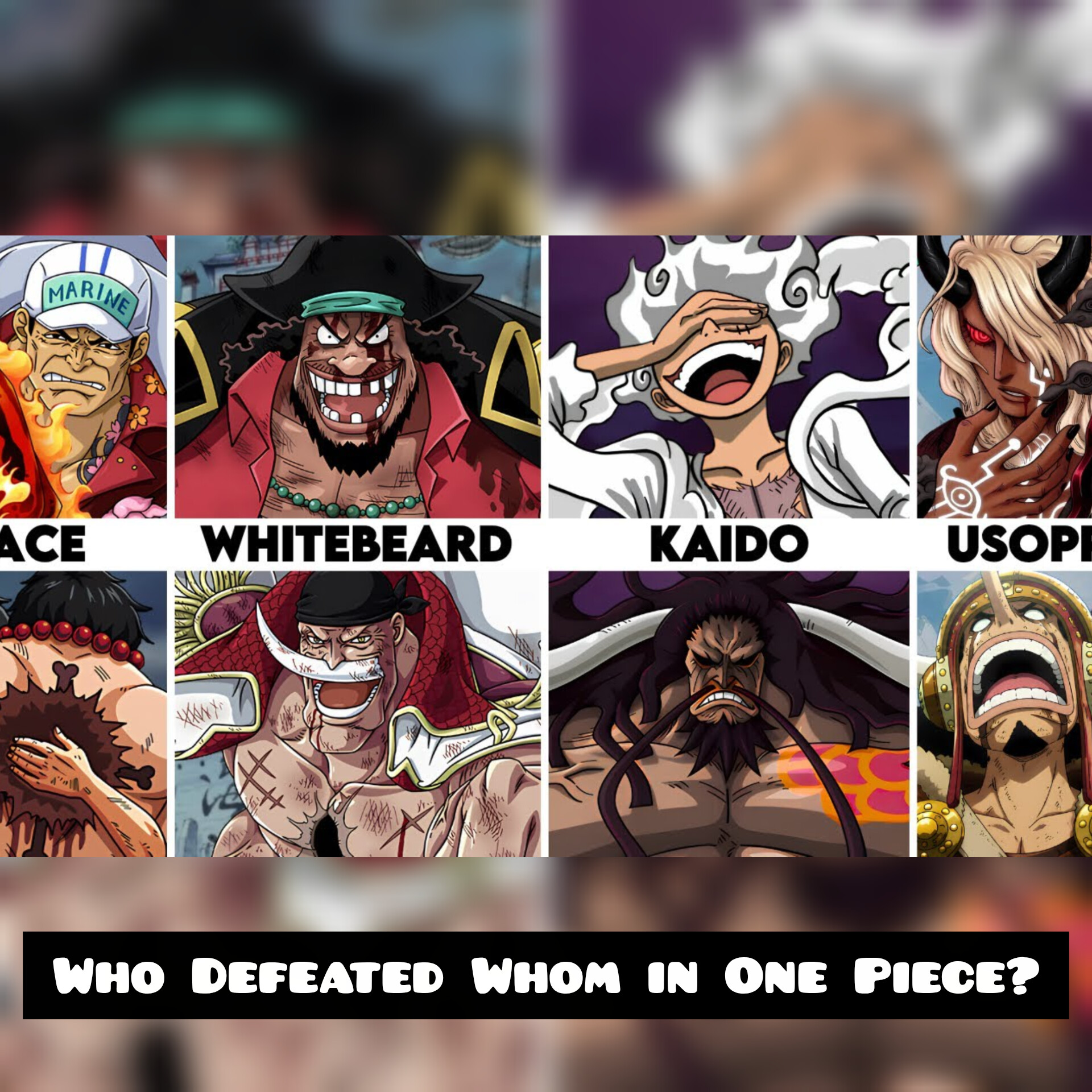 Who Defeated Whom in One Piece?
