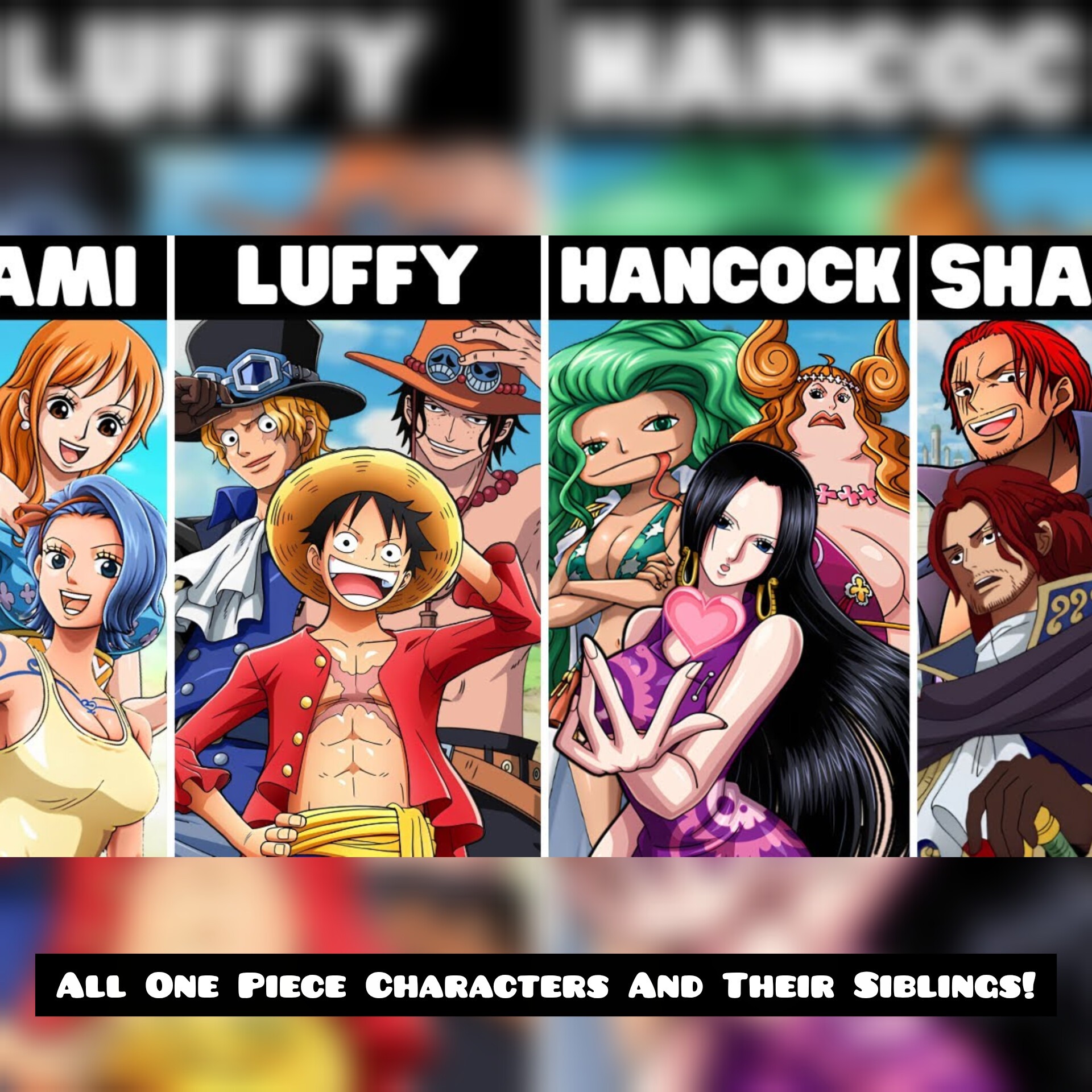 All One Piece Characters And Their Siblings!