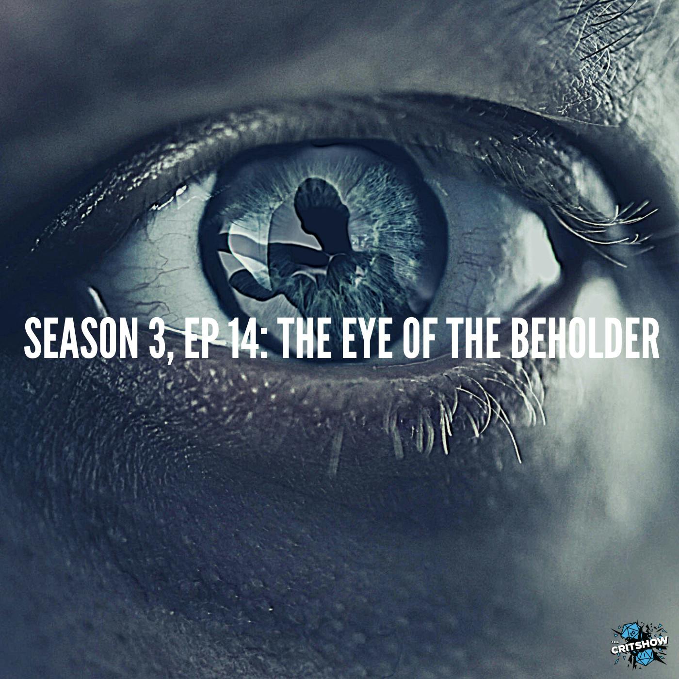 The Eye of the Beholder (S3, E14)
