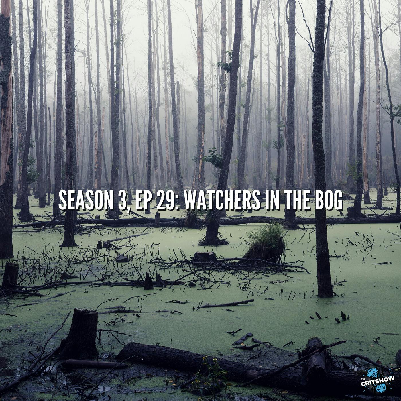 Watchers in the Bog (S3, E29)