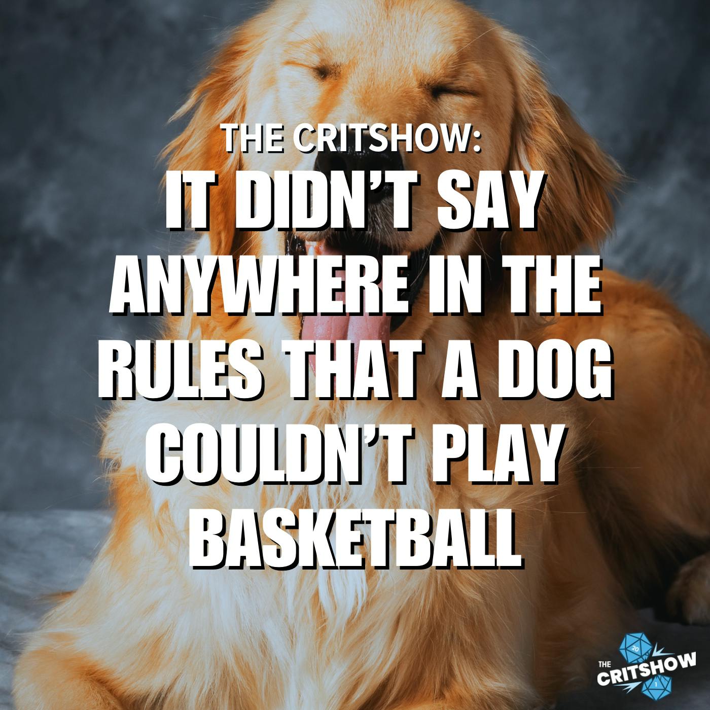 It Didn't Say Anywhere In The Rules That A Dog COULDN'T Play Basketball
